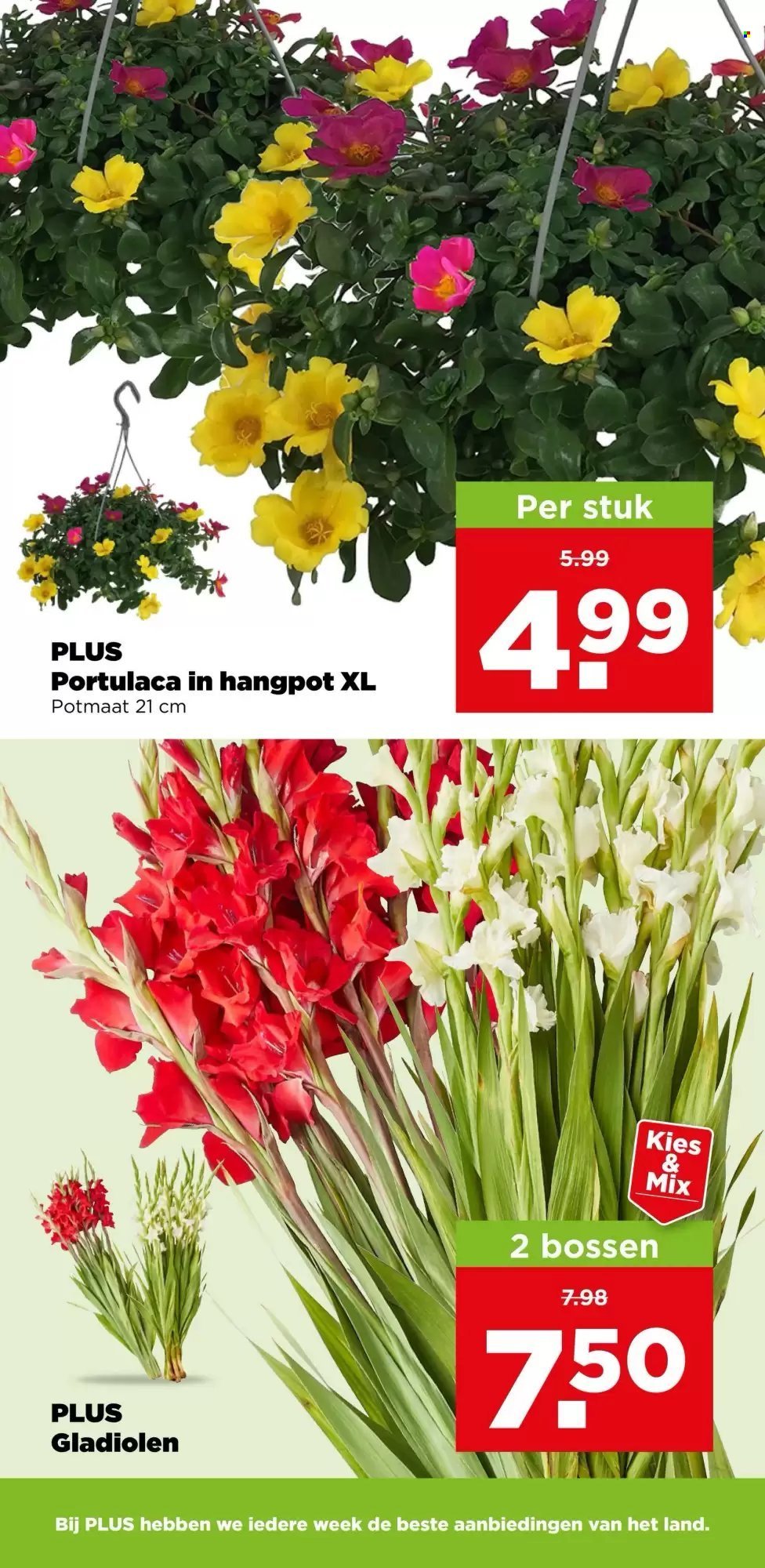 PLUS folder - Van woensdag 15 juli 2026