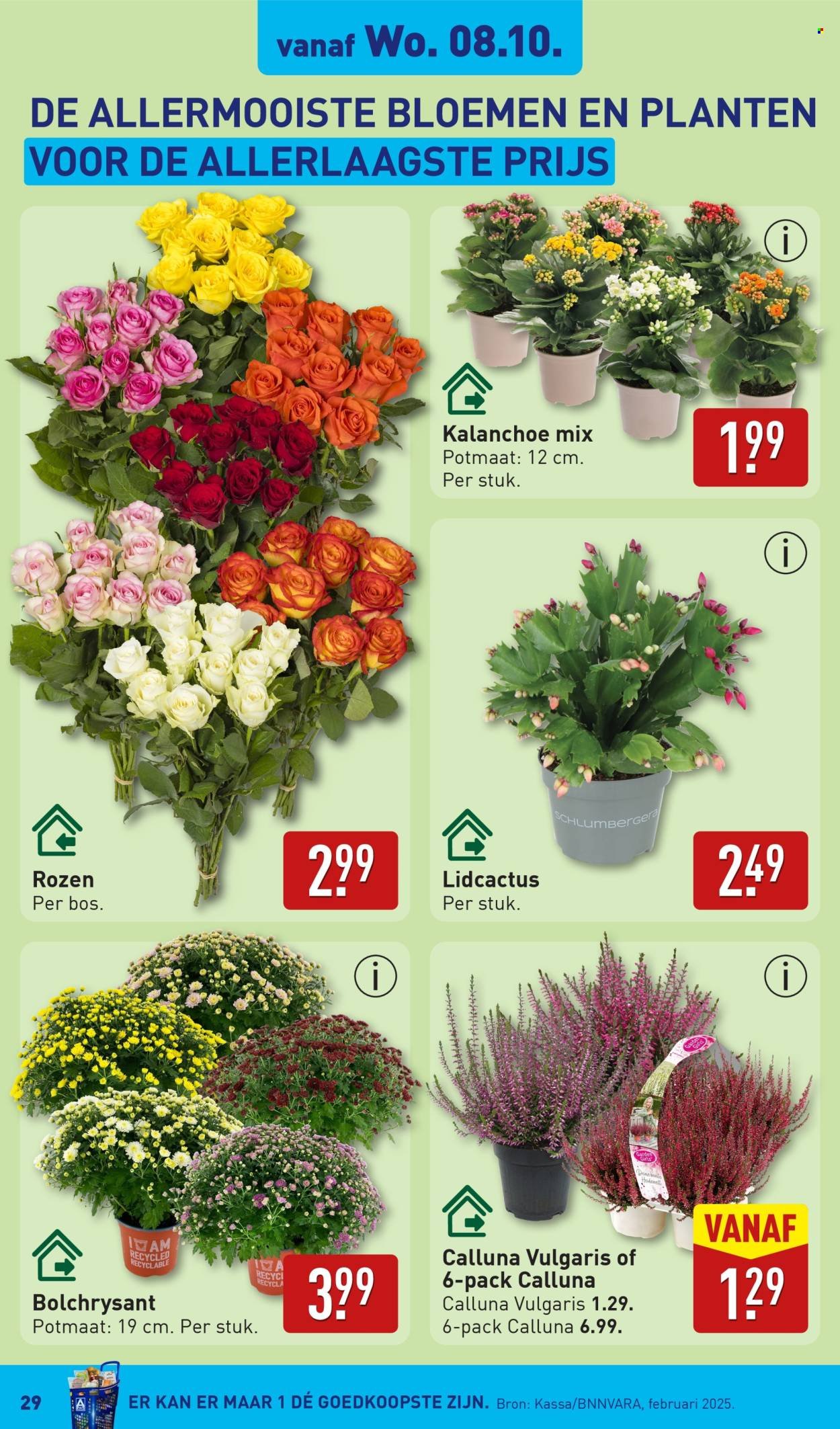 ALDI folder - Van maandag 6 oktober 2025 (2025-10-06 - 2025-10-12)