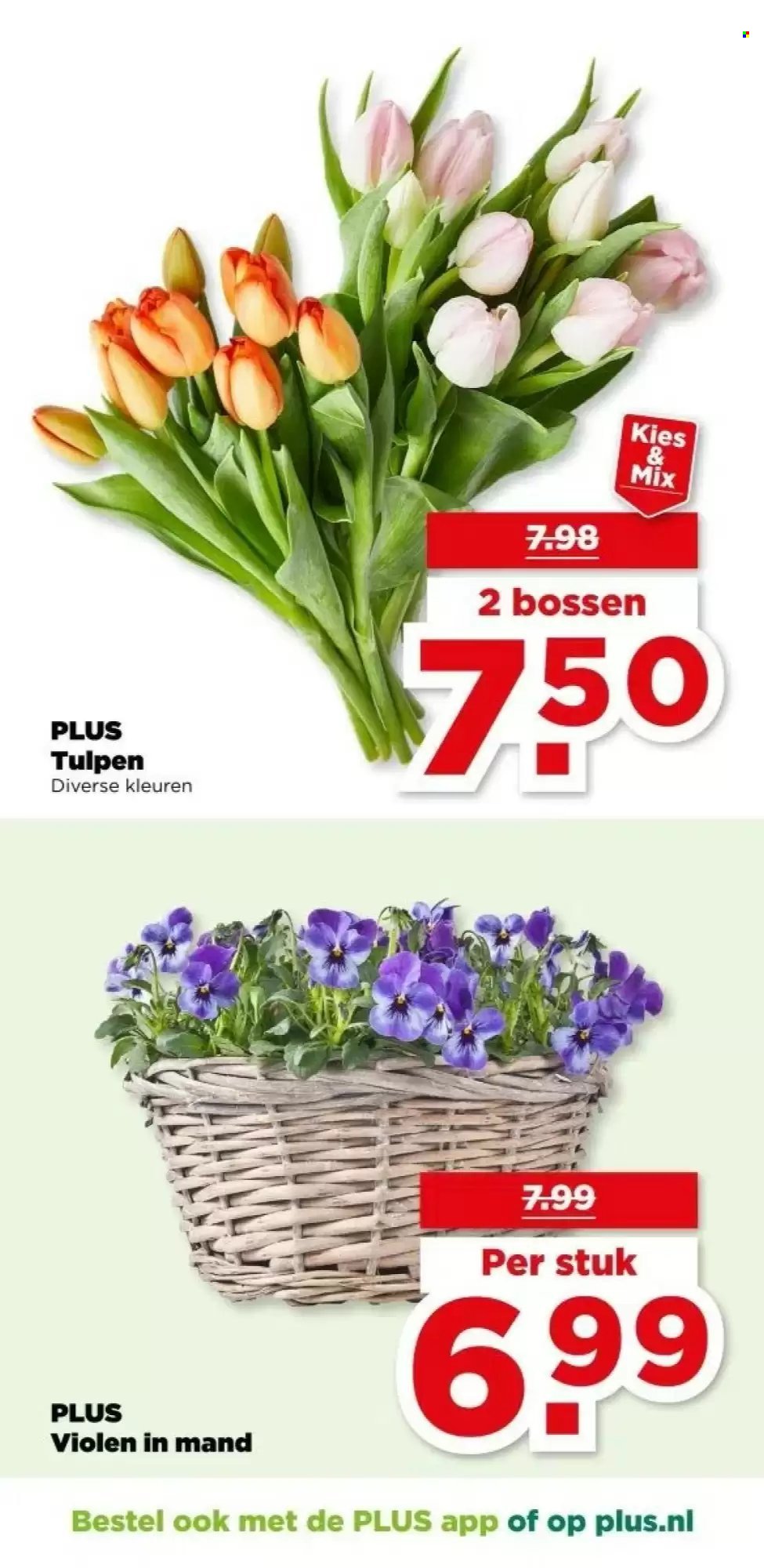 PLUS folder - Van woensdag 25 februari 2026