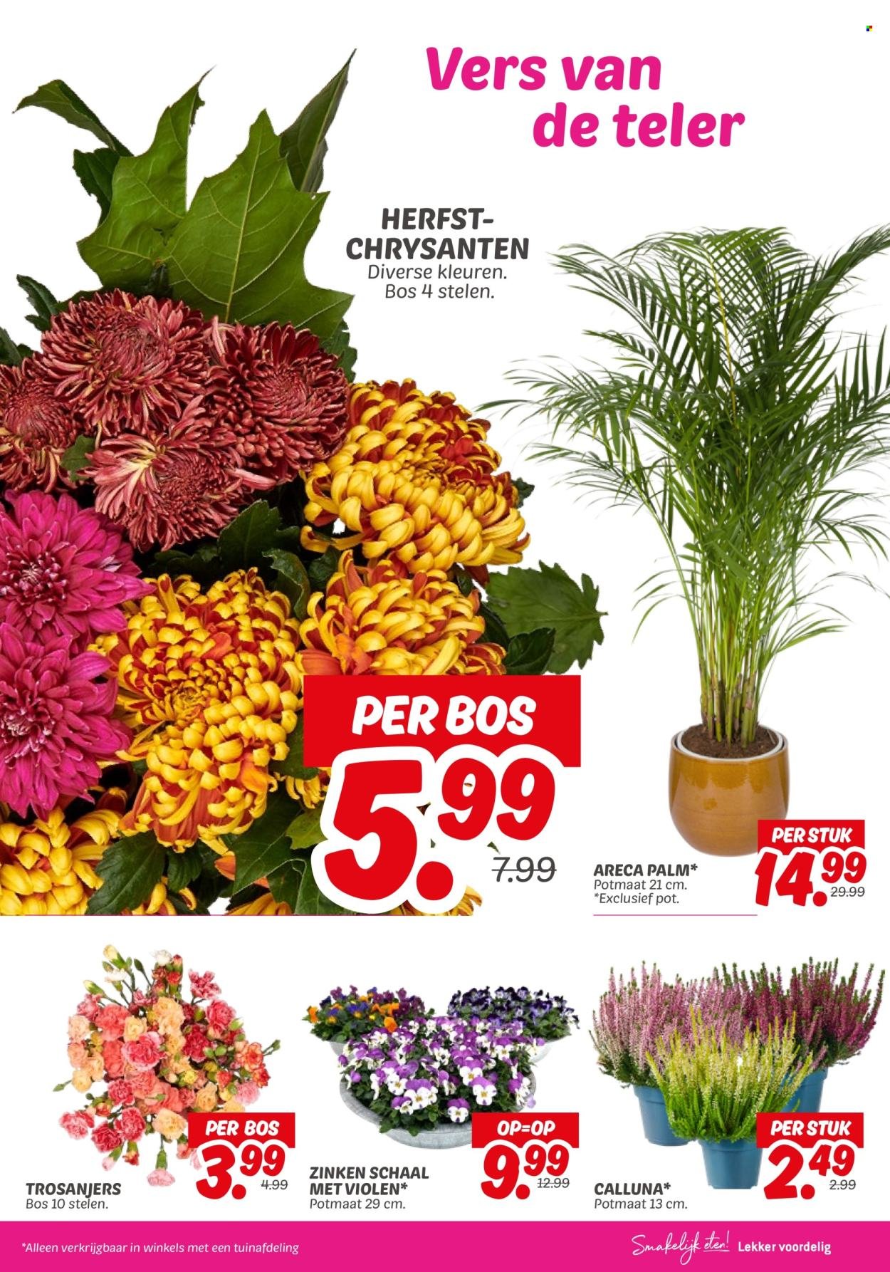 DEKAMARKT folder - Van dinsdag 9 september 2025 (2025-09-09 - 2025-09-15)