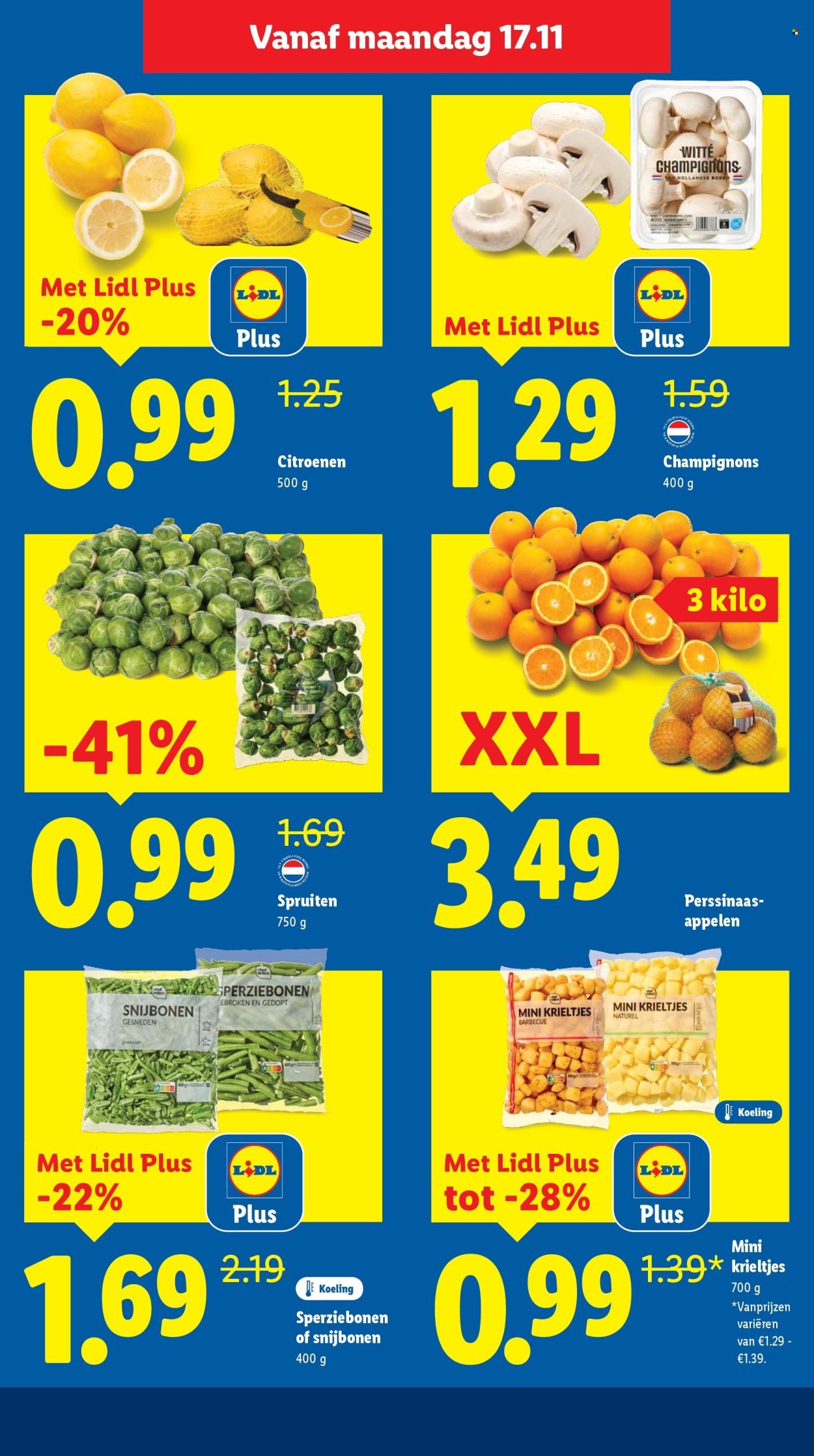 LIDL folder - Week 47