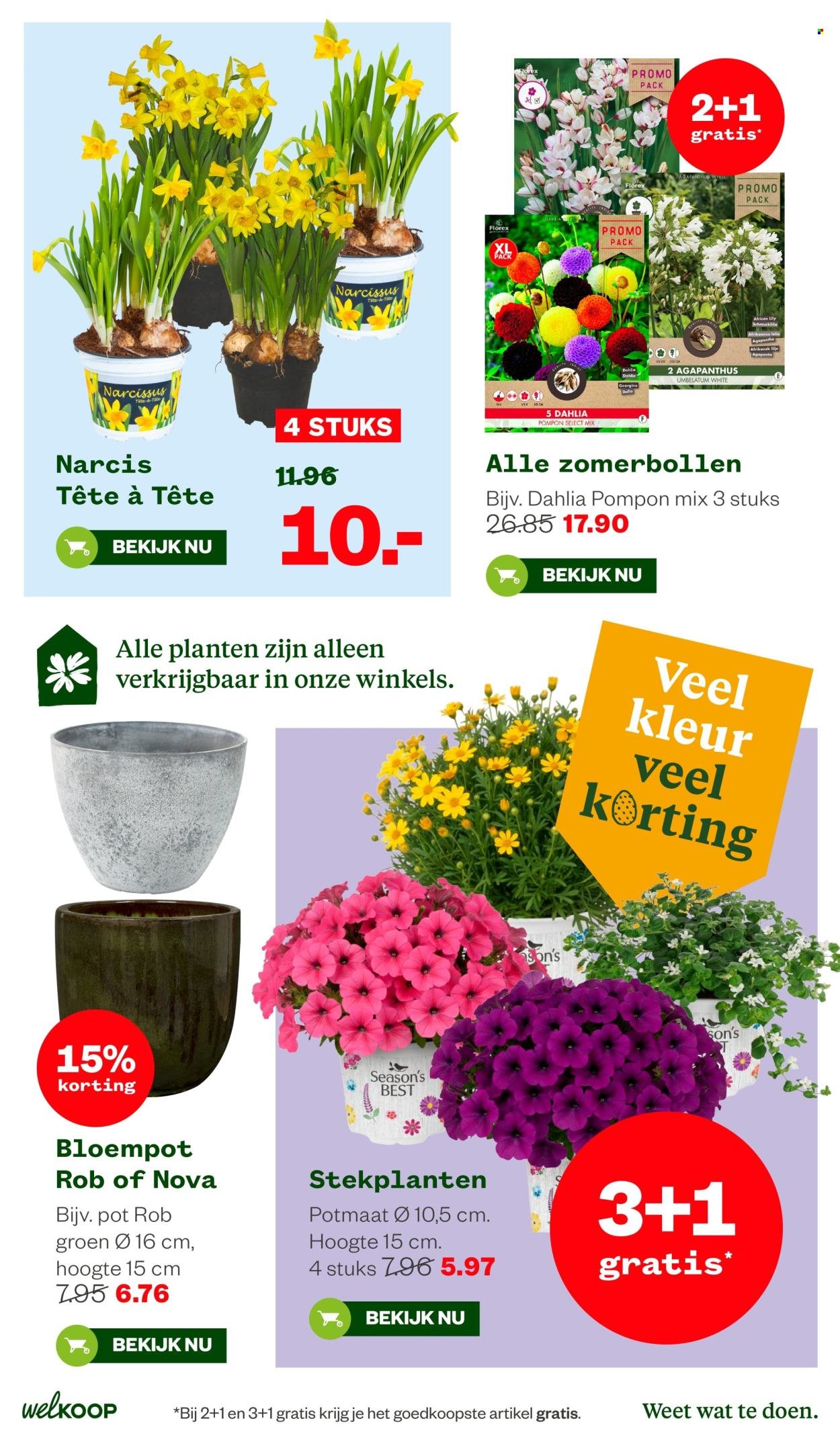 WELKOOP folder - Van maandag 30 maart 2026 (2026-03-30 - 2026-04-12)