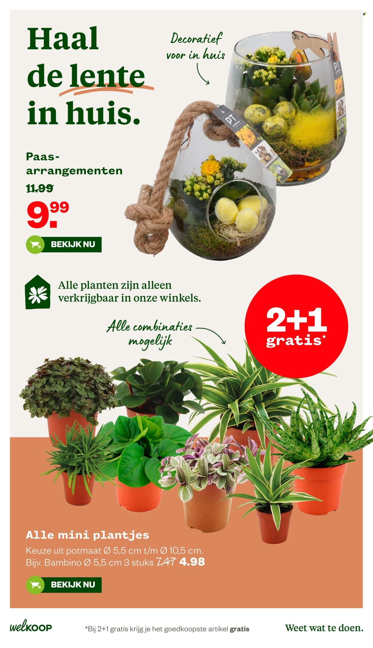 WELKOOP folder - Van maandag 30 maart 2026 (2026-03-30 - 2026-04-12)