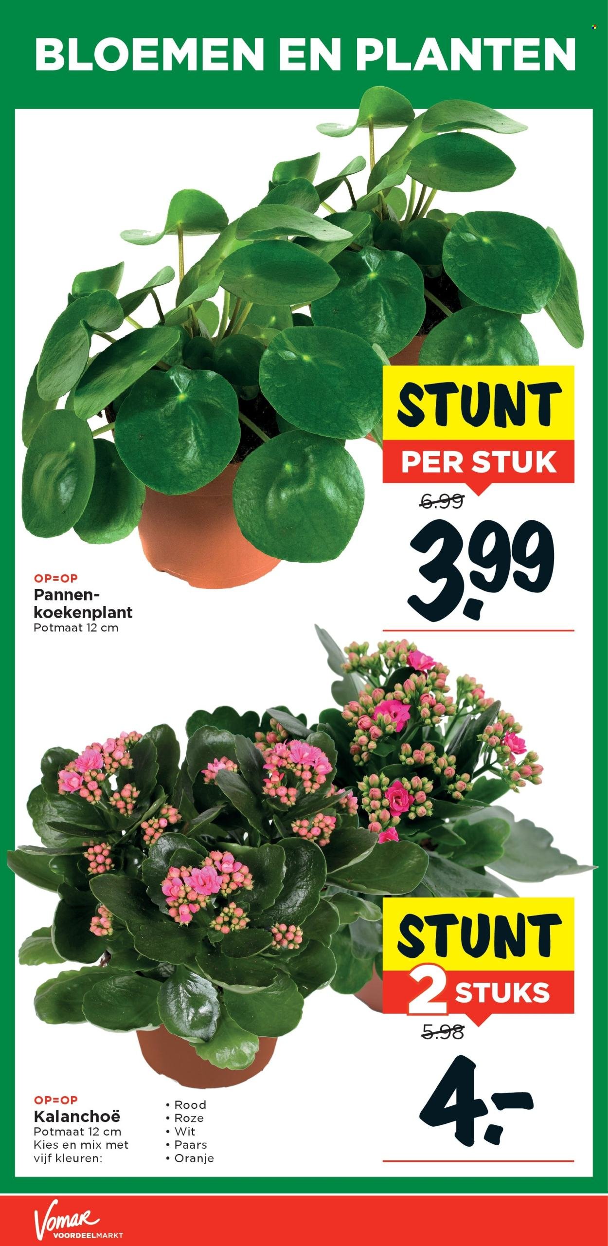 VOMAR folder - Van zondag 2 november 2025 (2025-11-02 - 2025-11-08)