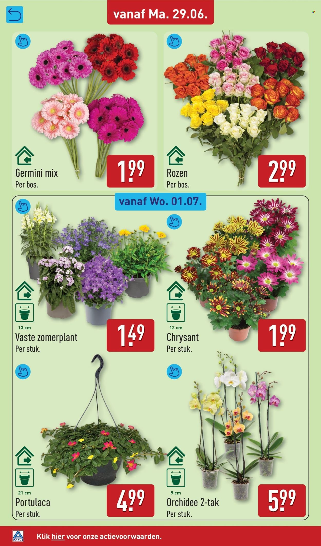 ALDI folder - Van maandag 29 juni 2026