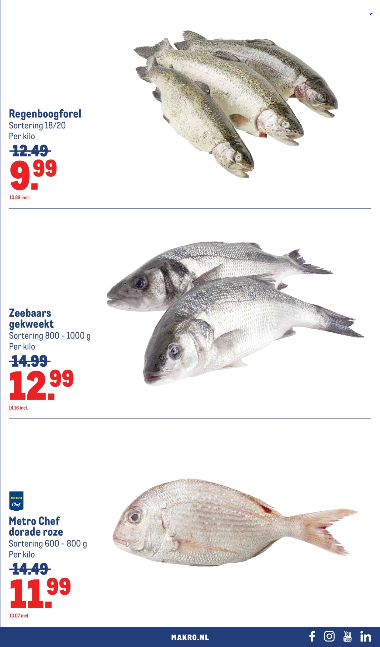 MAKRO folder - Food