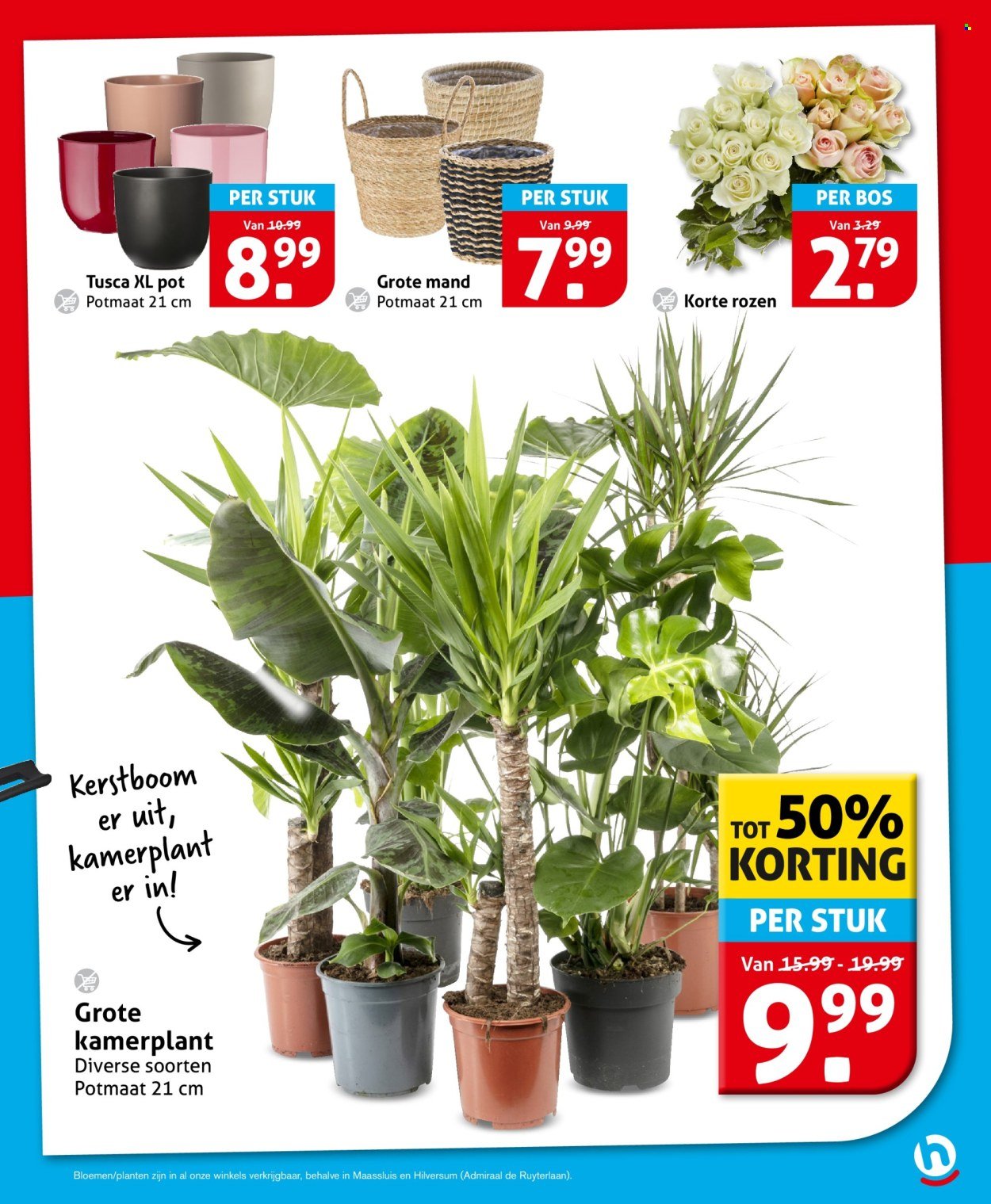 HOOGVLIET folder - Van vrijdag 2 januari 2026