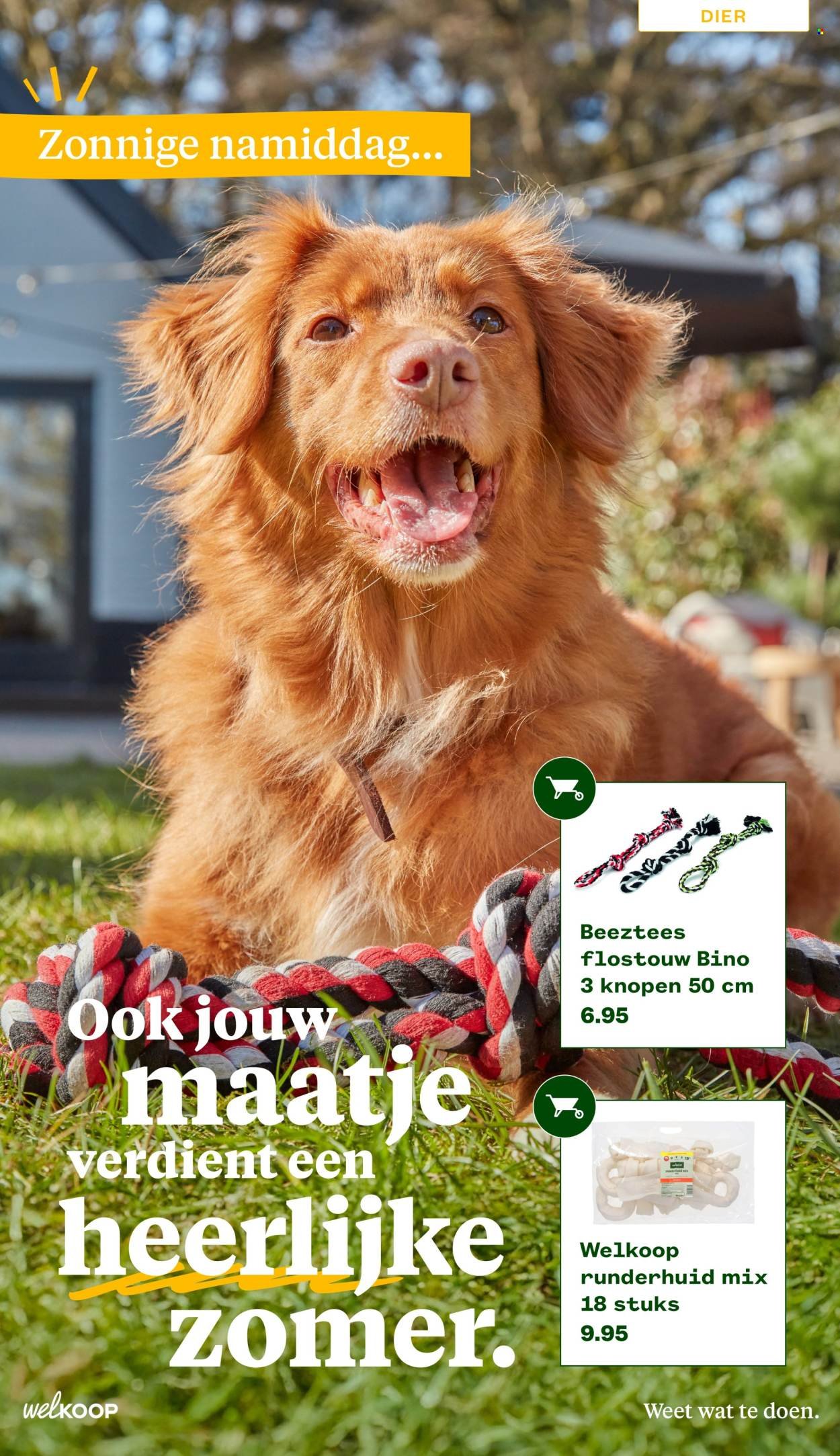 WELKOOP folder - Van maandag 22 juni 2026