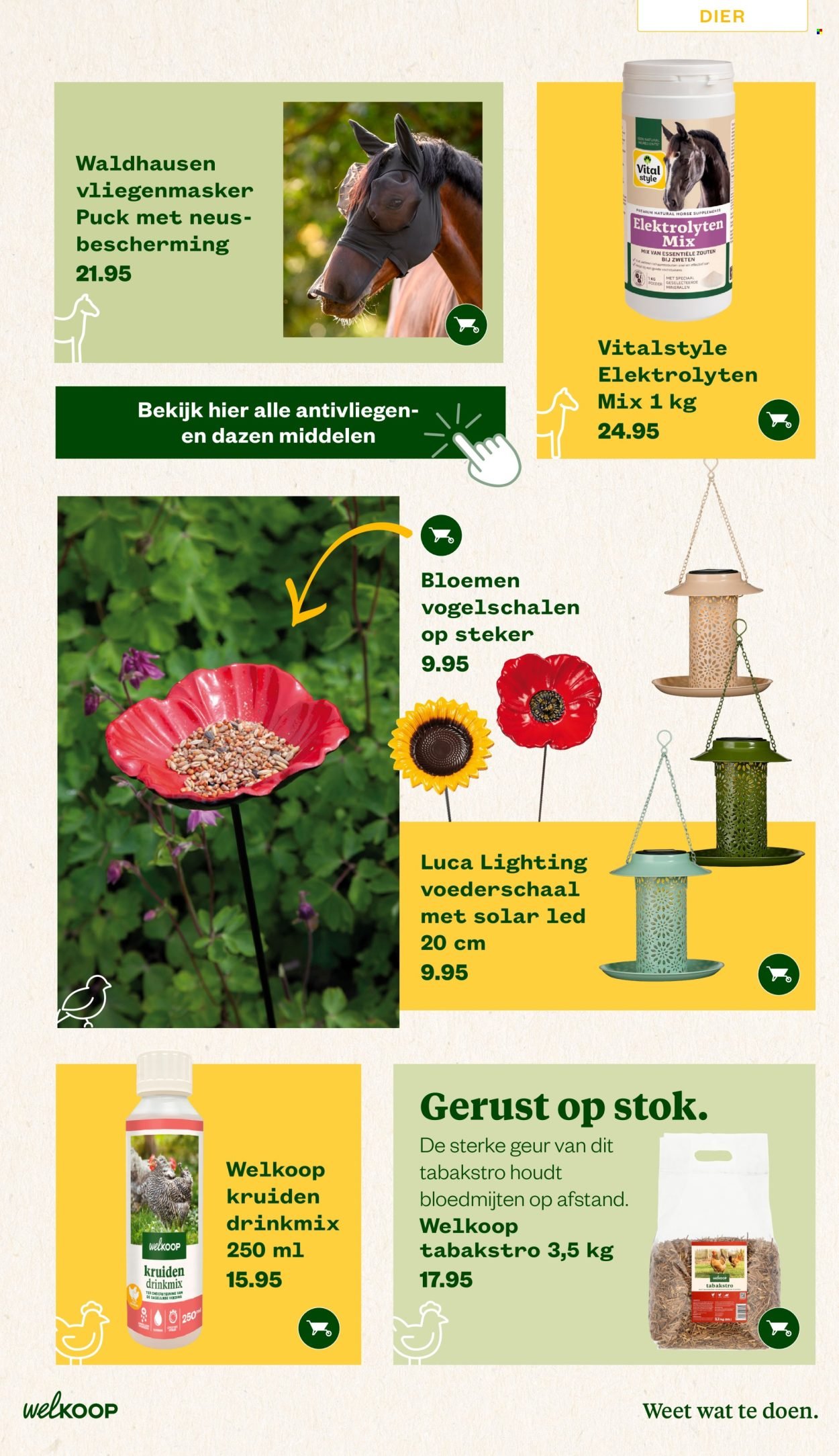 WELKOOP folder - Van maandag 22 juni 2026