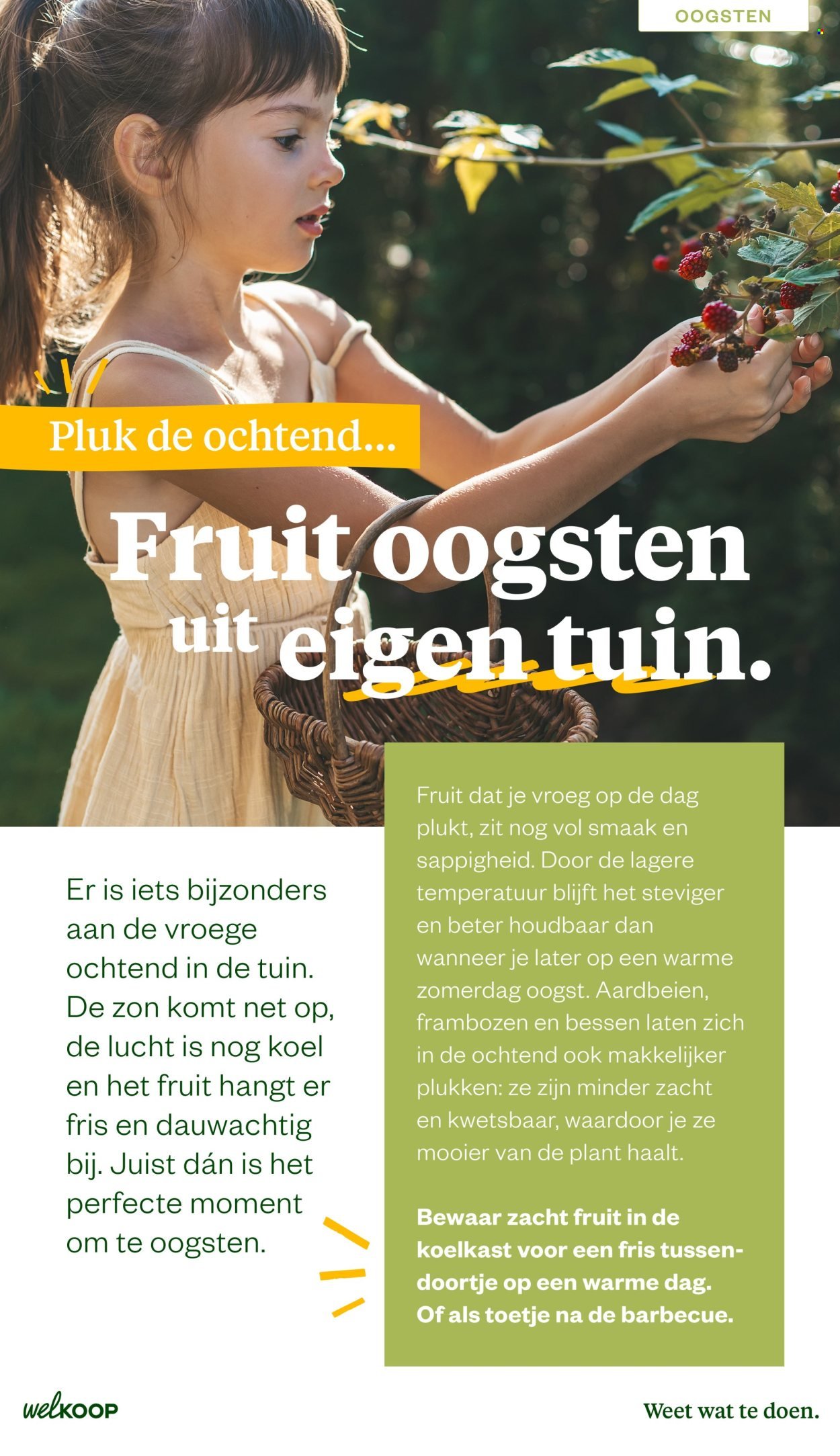 WELKOOP folder - Van maandag 22 juni 2026