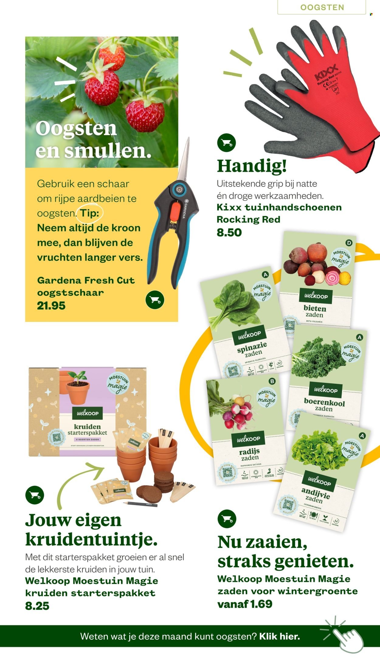 WELKOOP folder - Van maandag 22 juni 2026