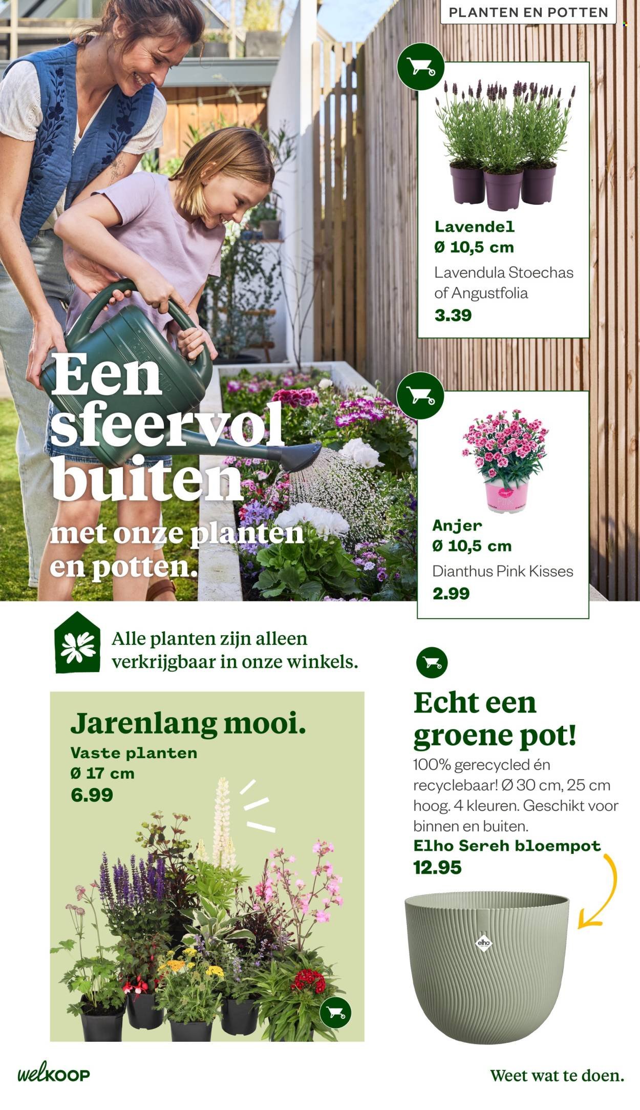 WELKOOP folder - Van maandag 22 juni 2026