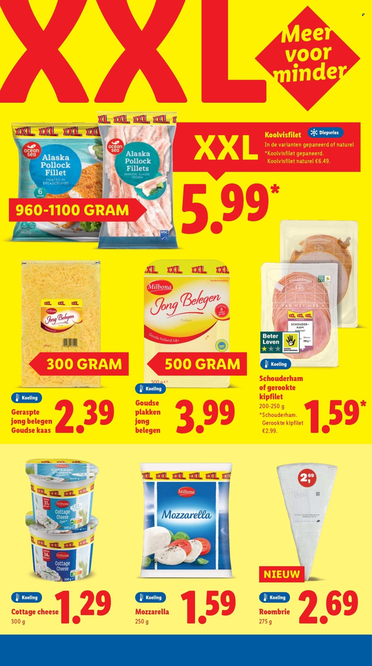 LIDL folder - Week 37 (2025-09-08 - 2025-09-14)