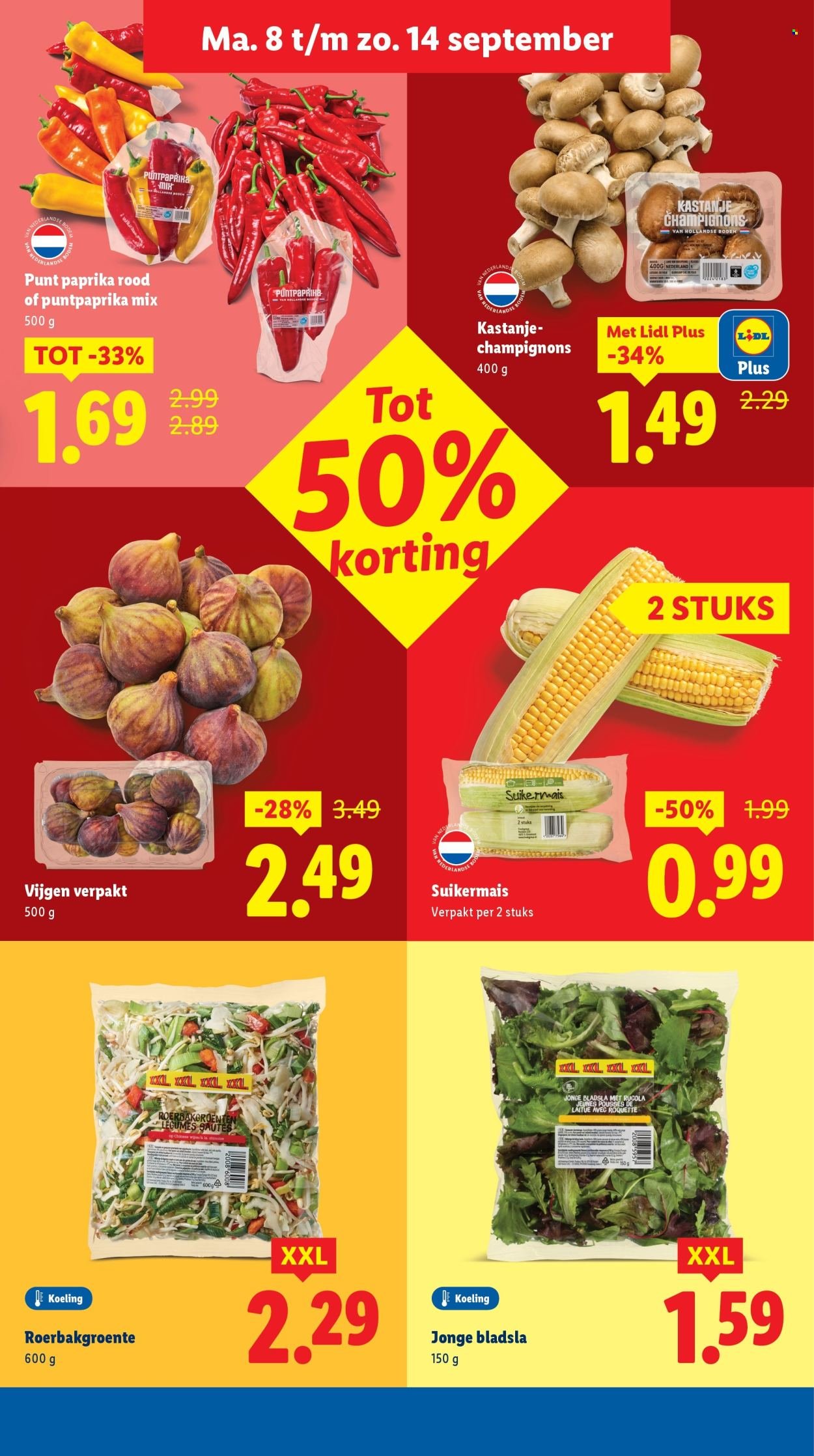 LIDL folder - Week 37 (2025-09-08 - 2025-09-14)