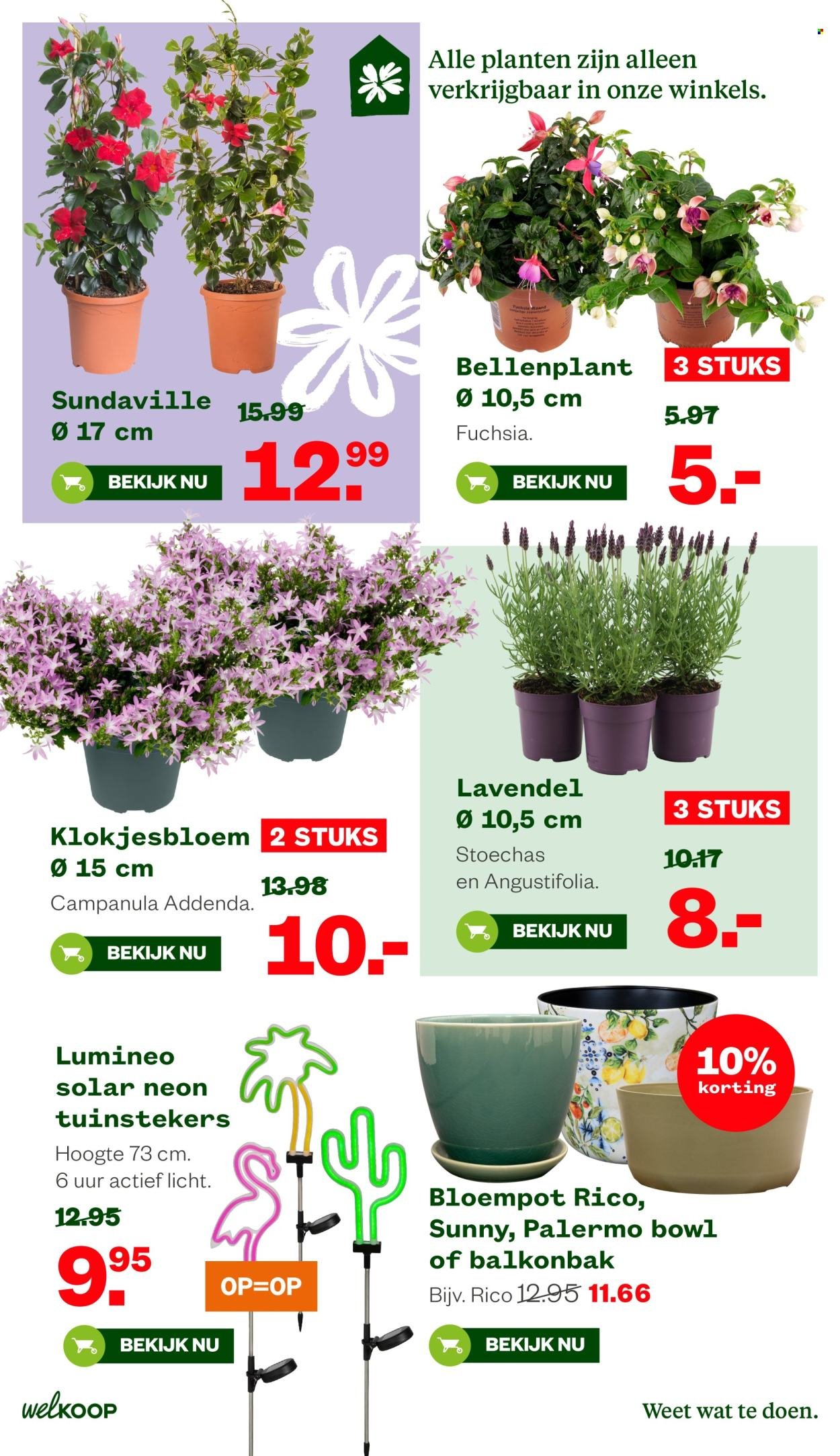 WELKOOP folder - Van maandag 13 april 2026