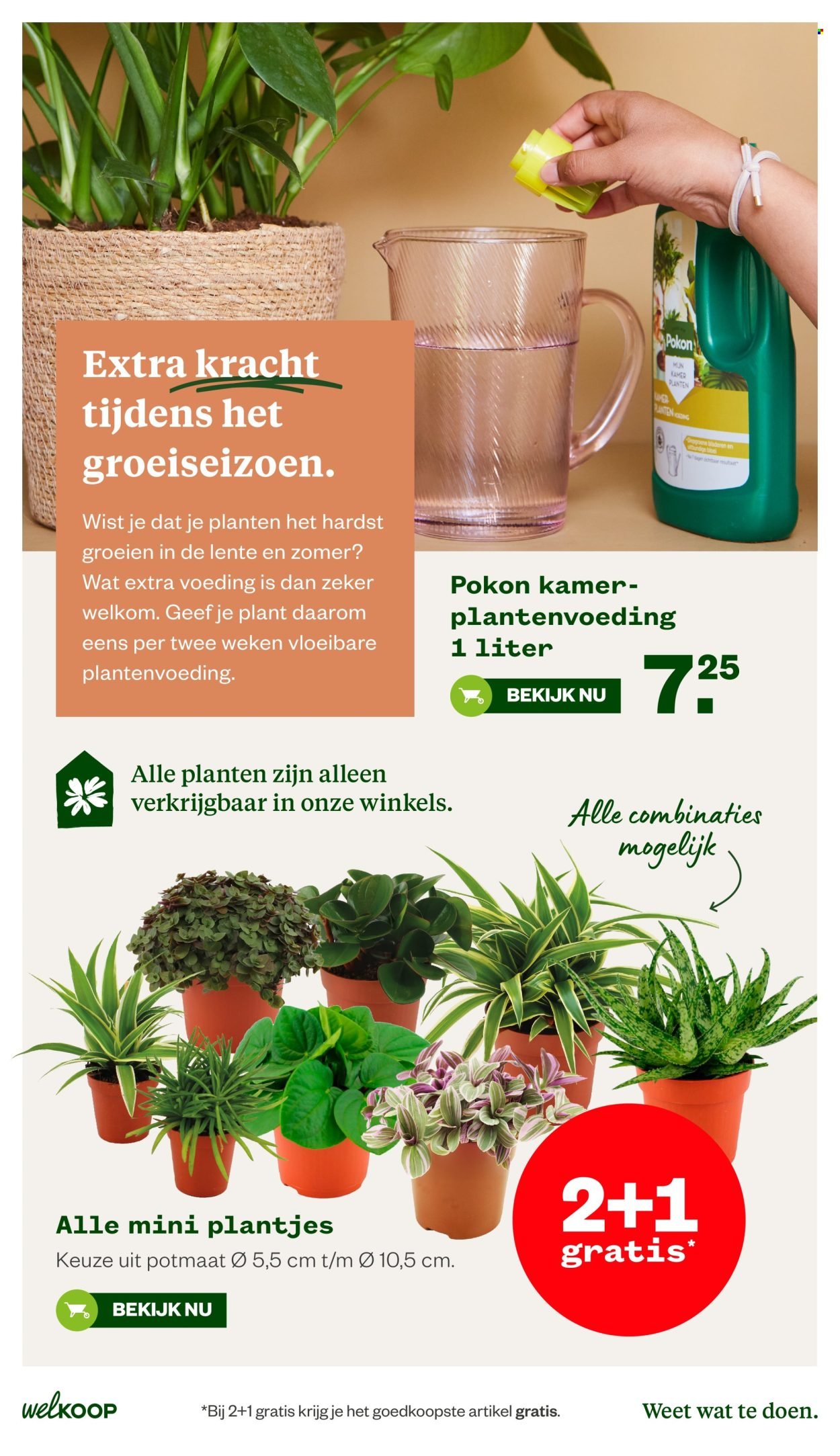 WELKOOP folder - Van maandag 13 april 2026