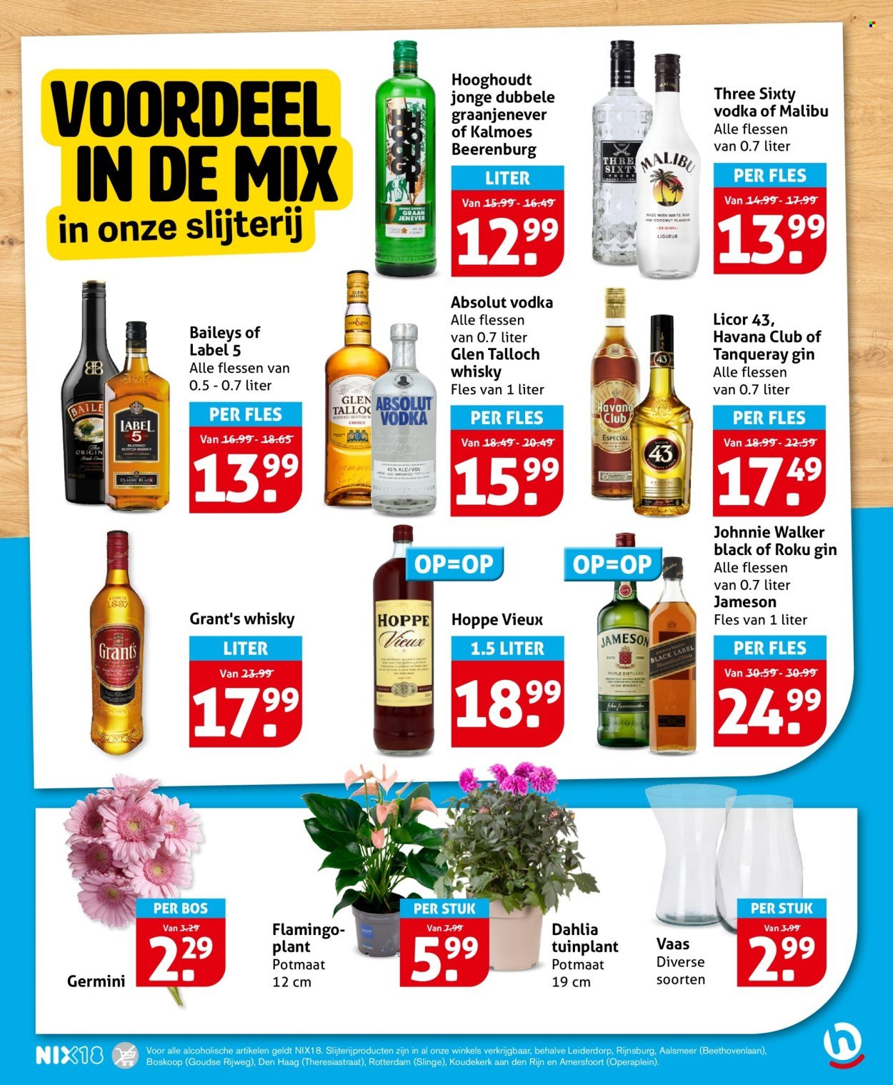 HOOGVLIET folder - Van woensdag 15 april 2026 (2026-04-15 - 2026-04-21)