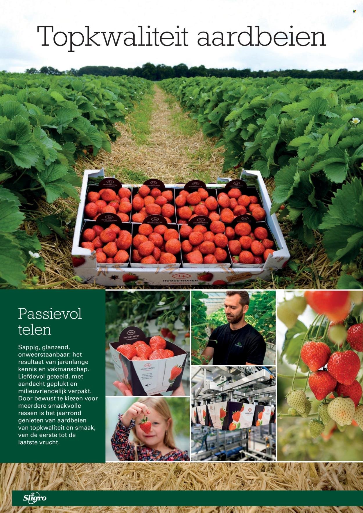 SLIGRO folder - Food