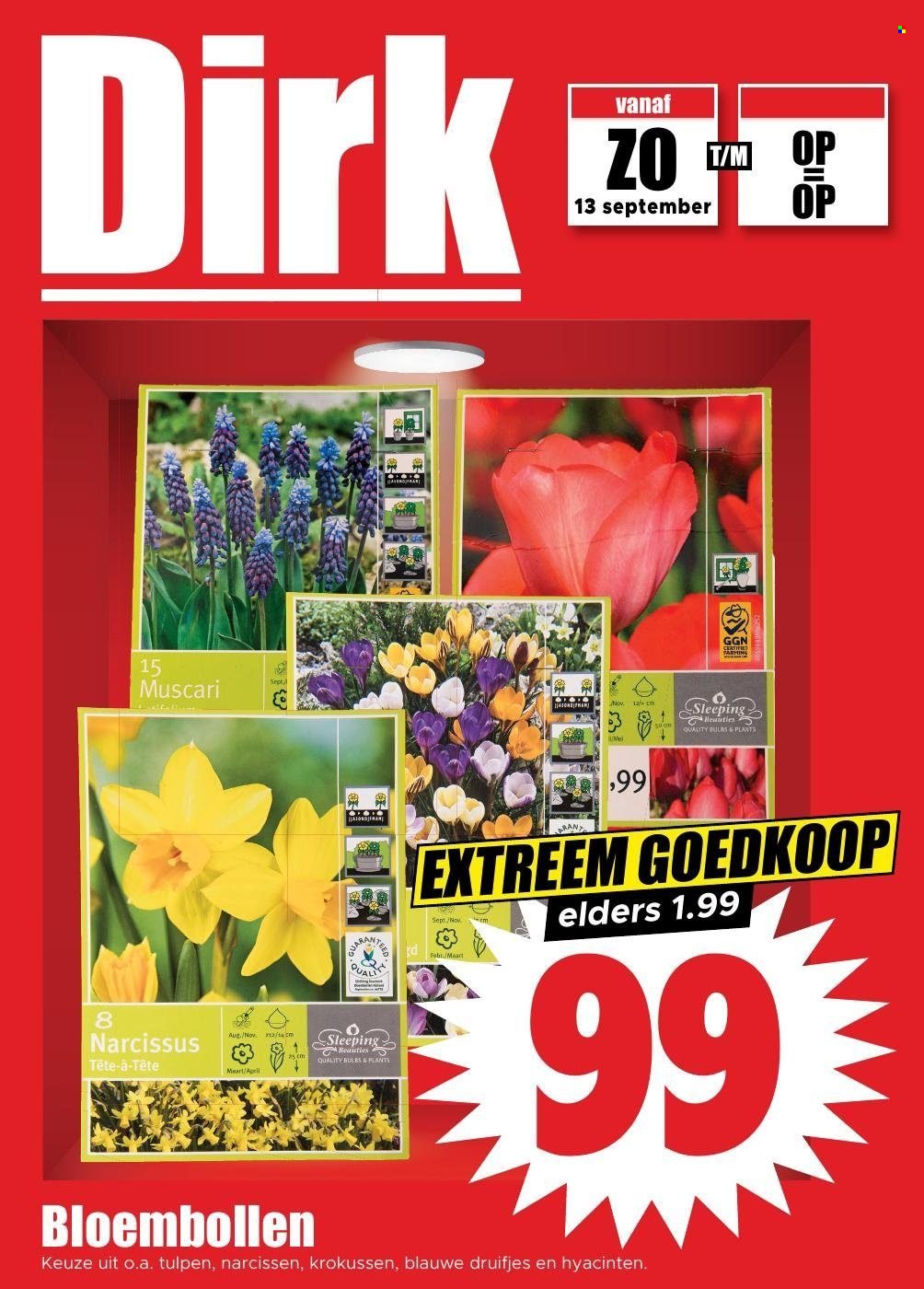 DIRK folder - Volgende week