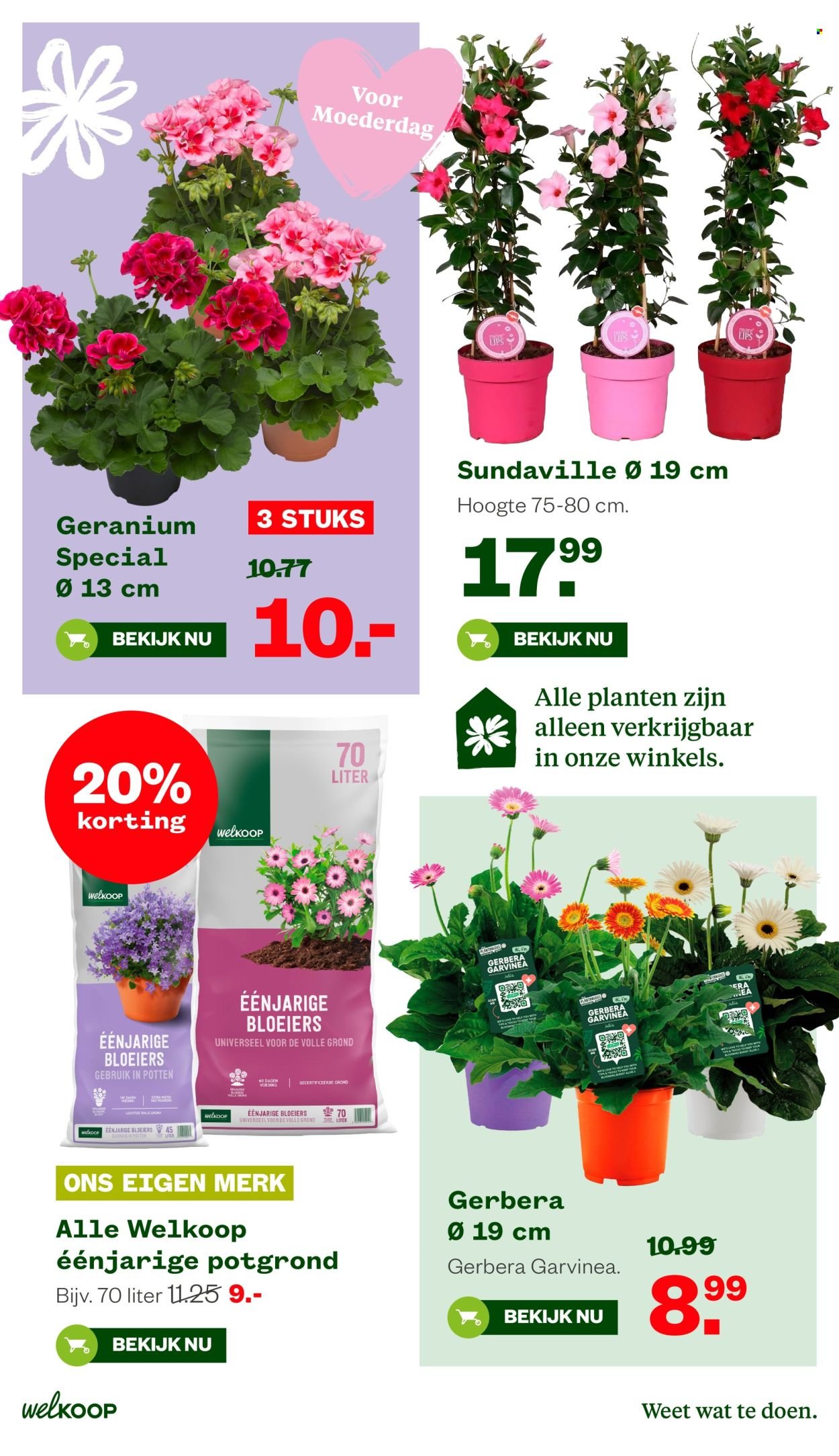 WELKOOP folder - Van maandag 27 april 2026