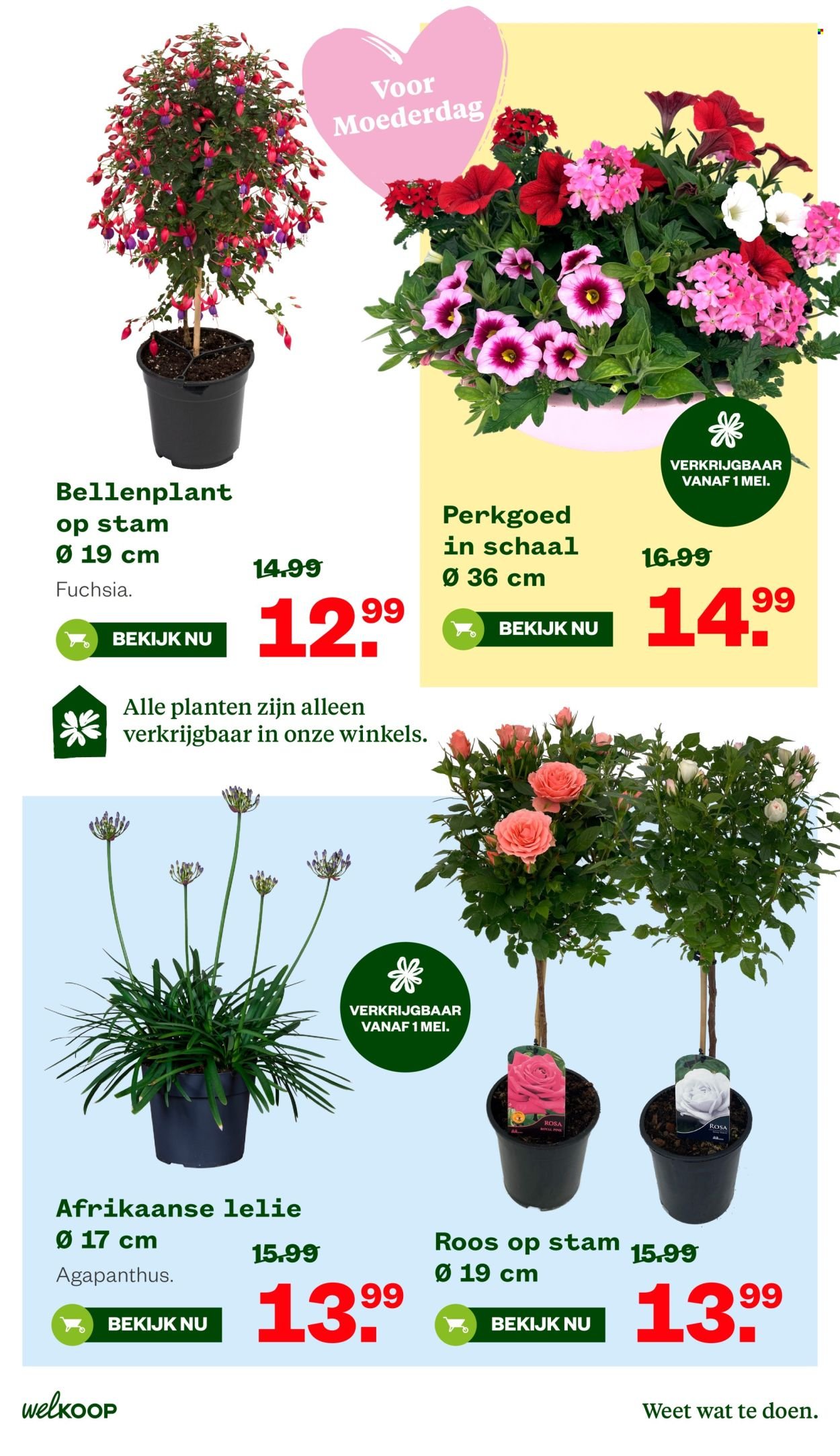WELKOOP folder - Van maandag 27 april 2026