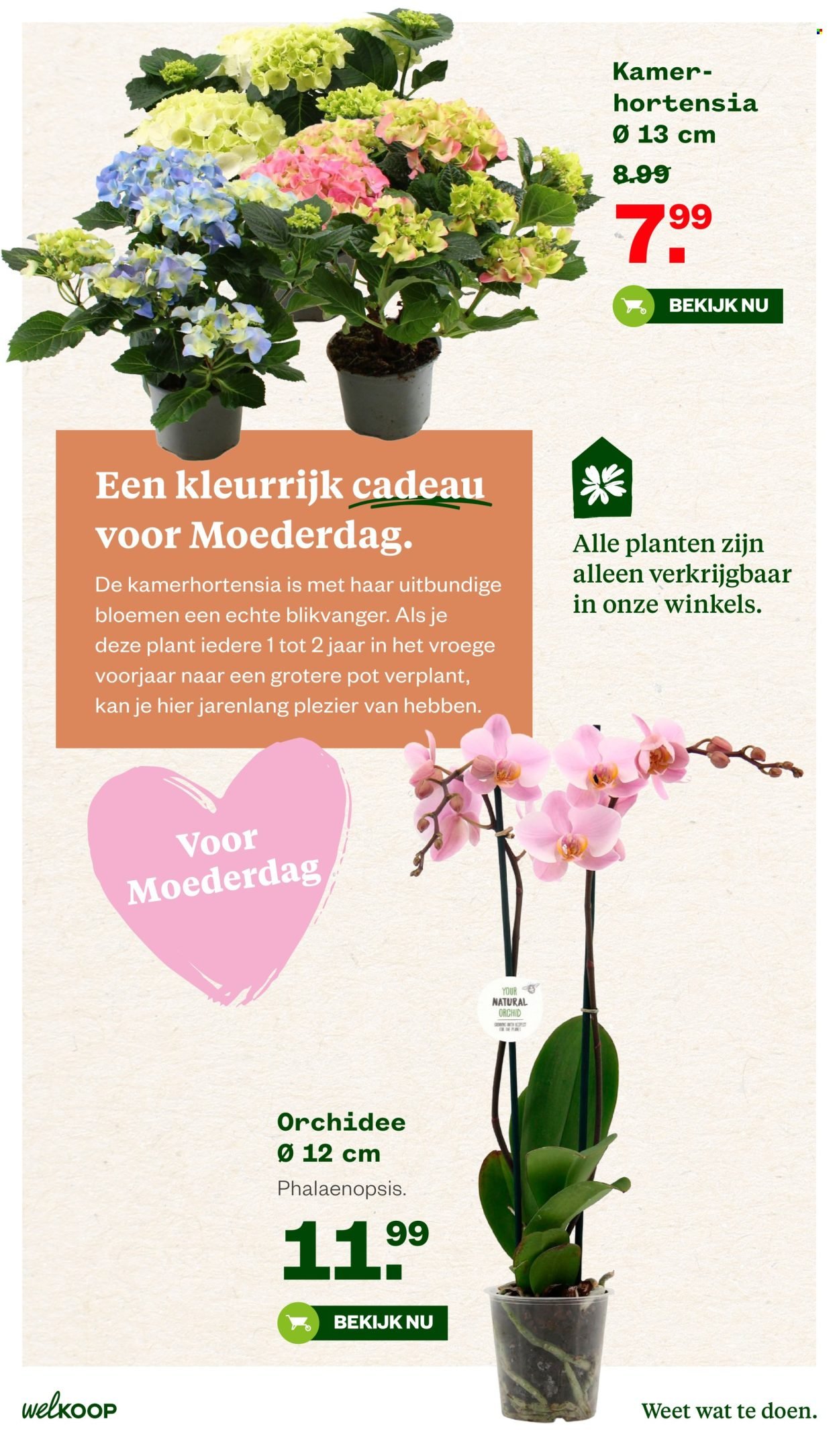 WELKOOP folder - Van maandag 27 april 2026