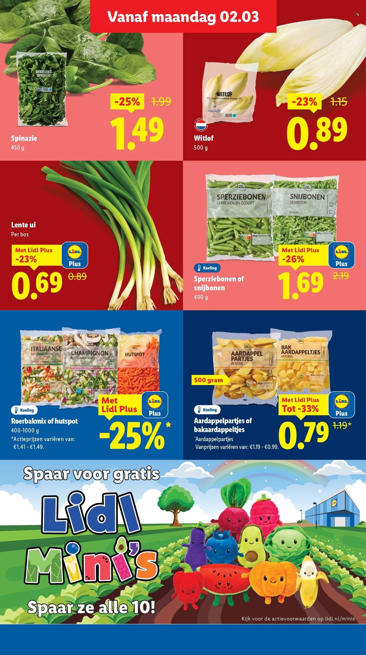 LIDL folder - Week 10