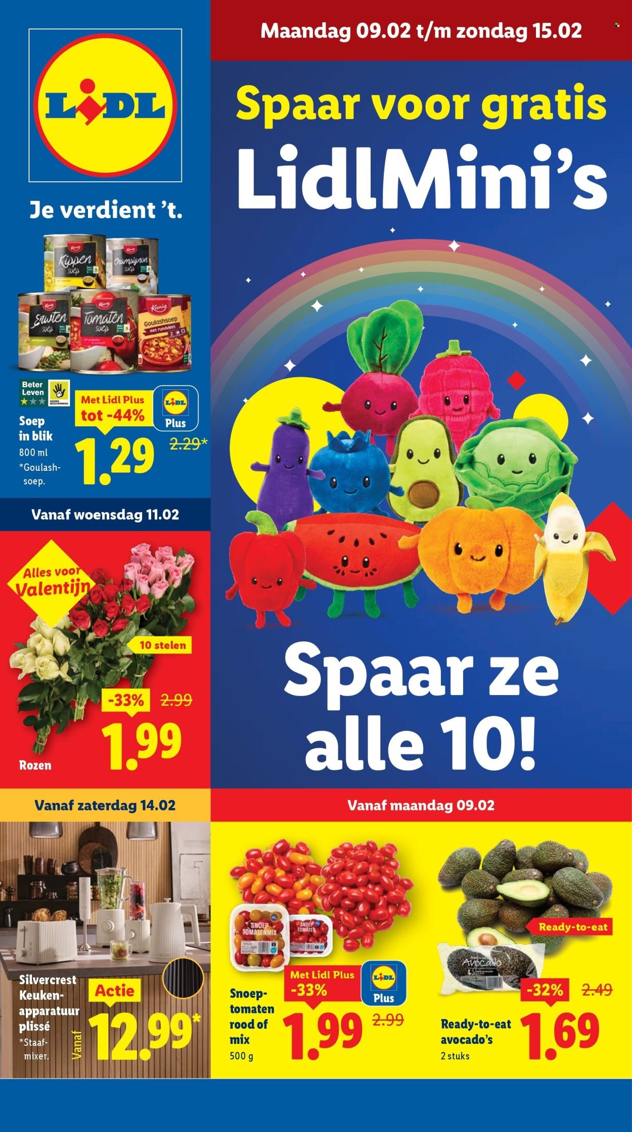 LIDL folder - Week 7