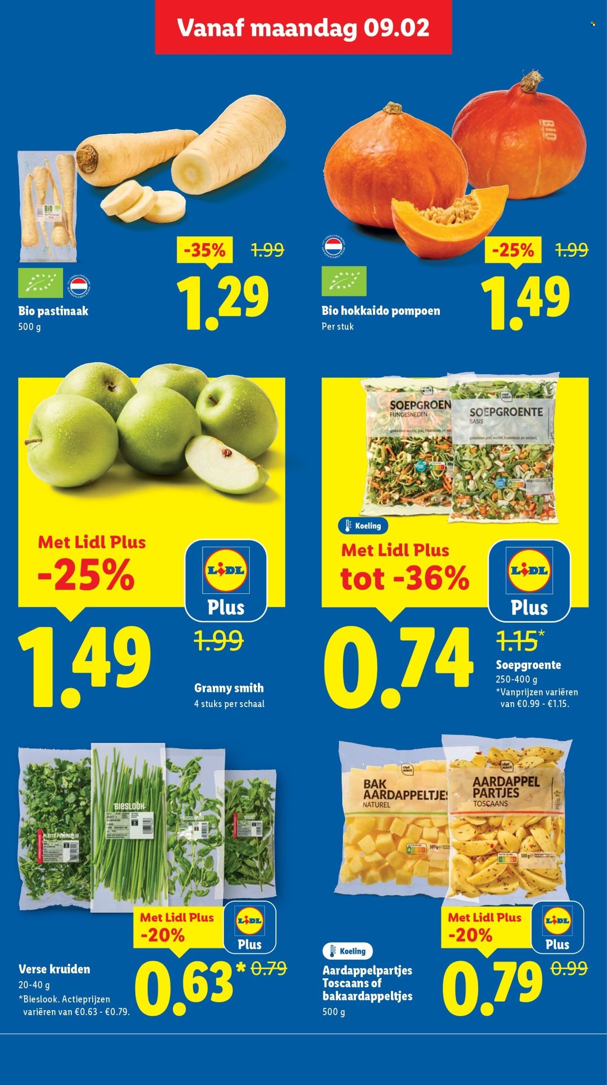 LIDL folder - Week 7