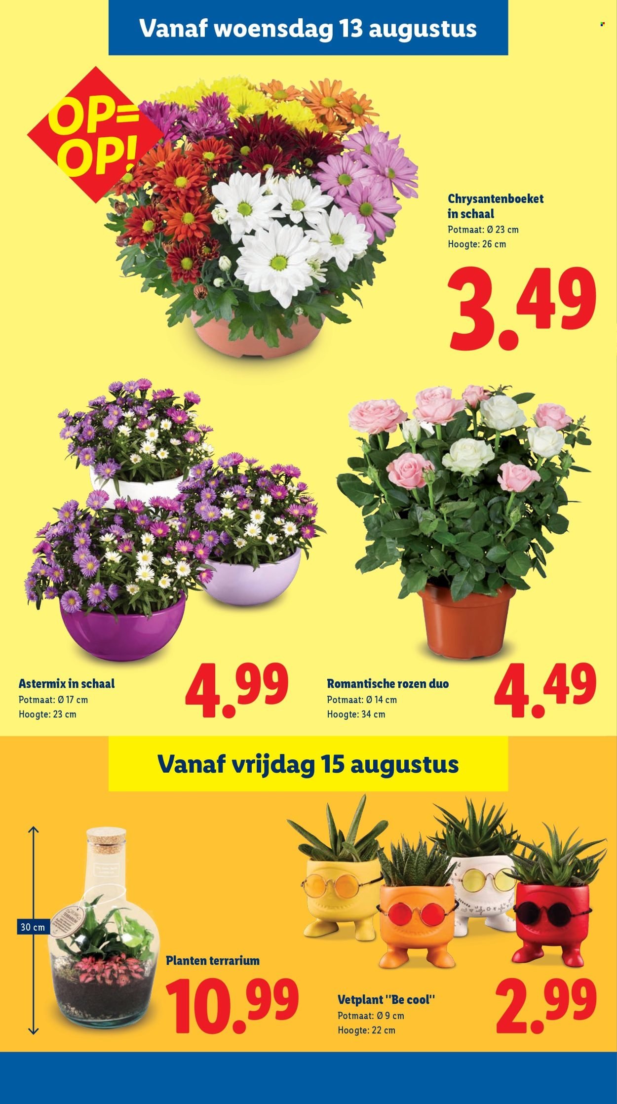 LIDL folder - Week 33 (2025-08-11 - 2025-08-17)