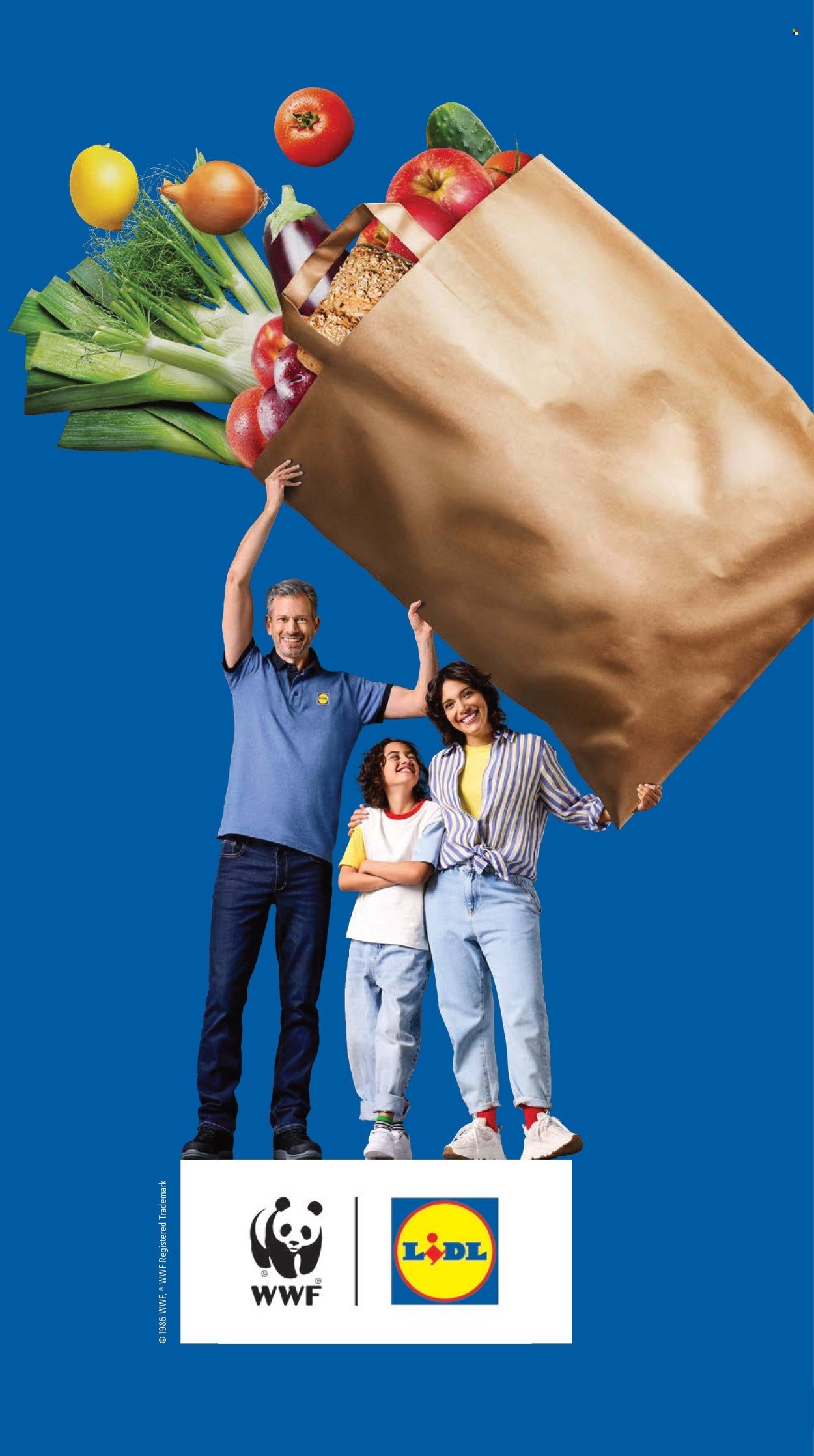 LIDL folder - Week 33 (2025-08-11 - 2025-08-17)