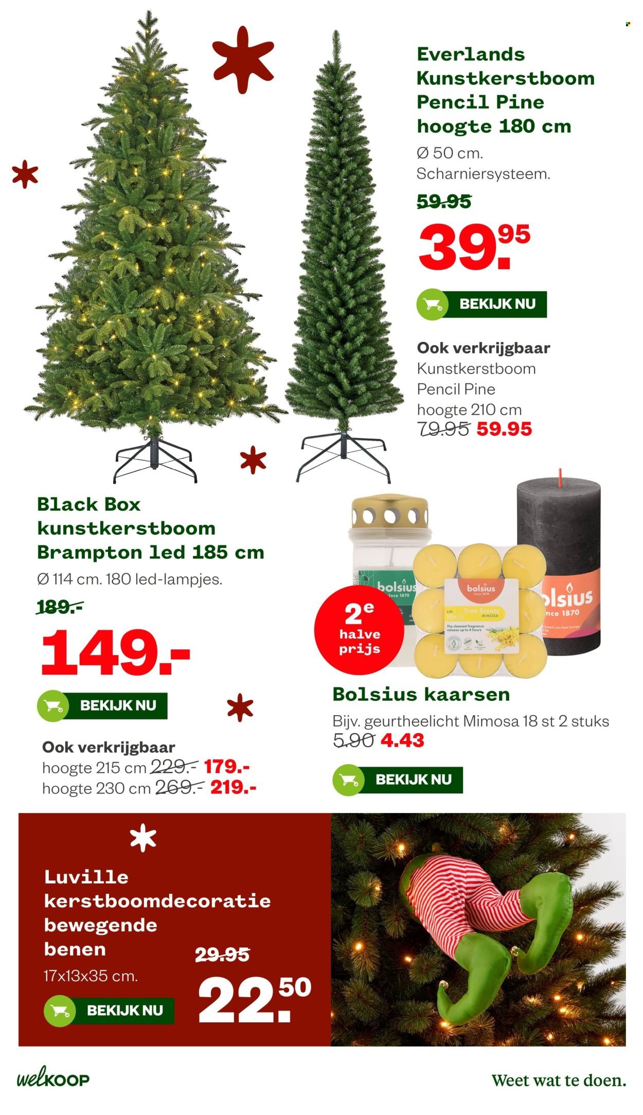 WELKOOP folder - Van maandag 8 december 2025 (2025-12-08 - 2025-12-28)