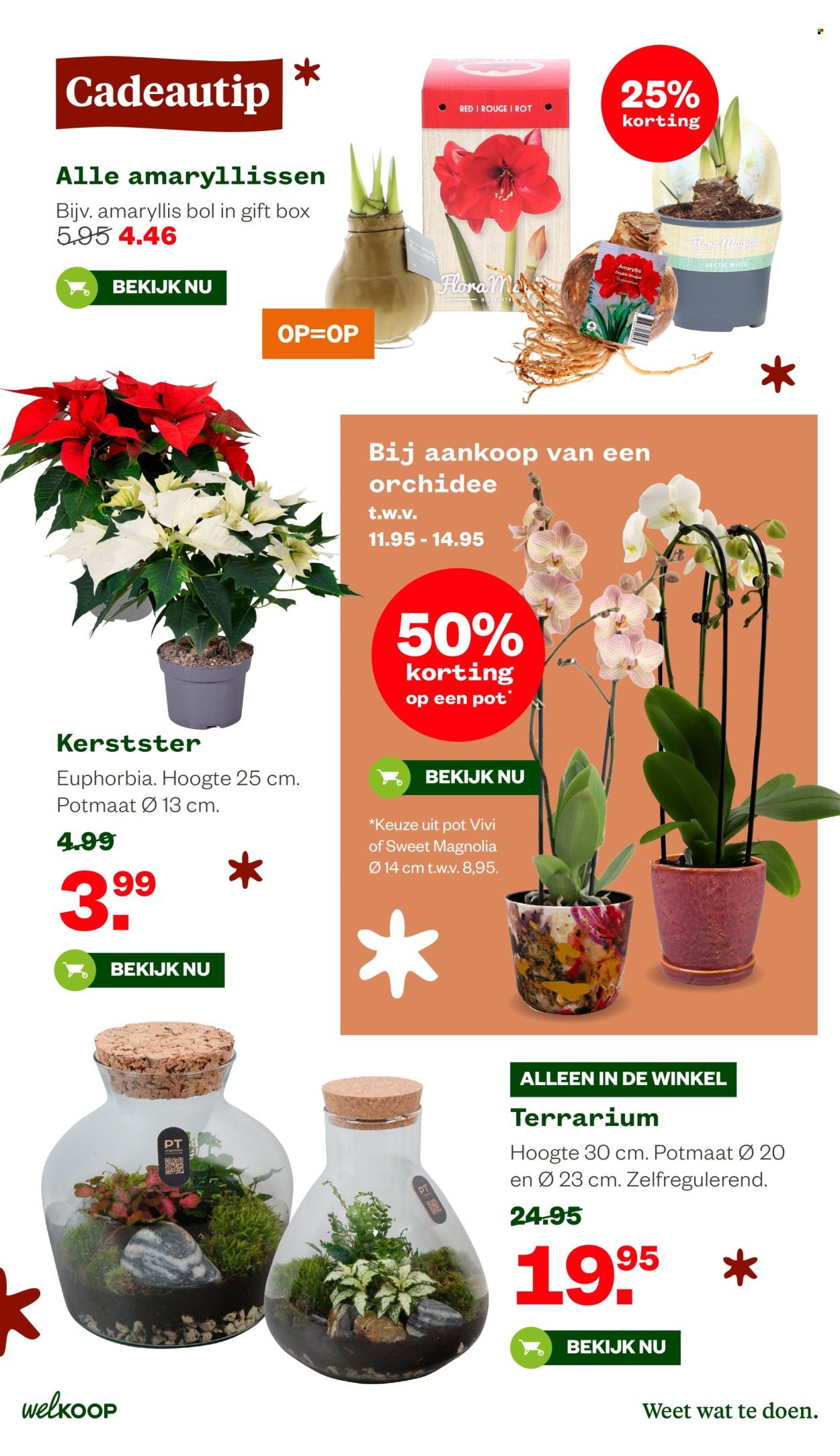 WELKOOP folder - Van maandag 8 december 2025 (2025-12-08 - 2025-12-28)