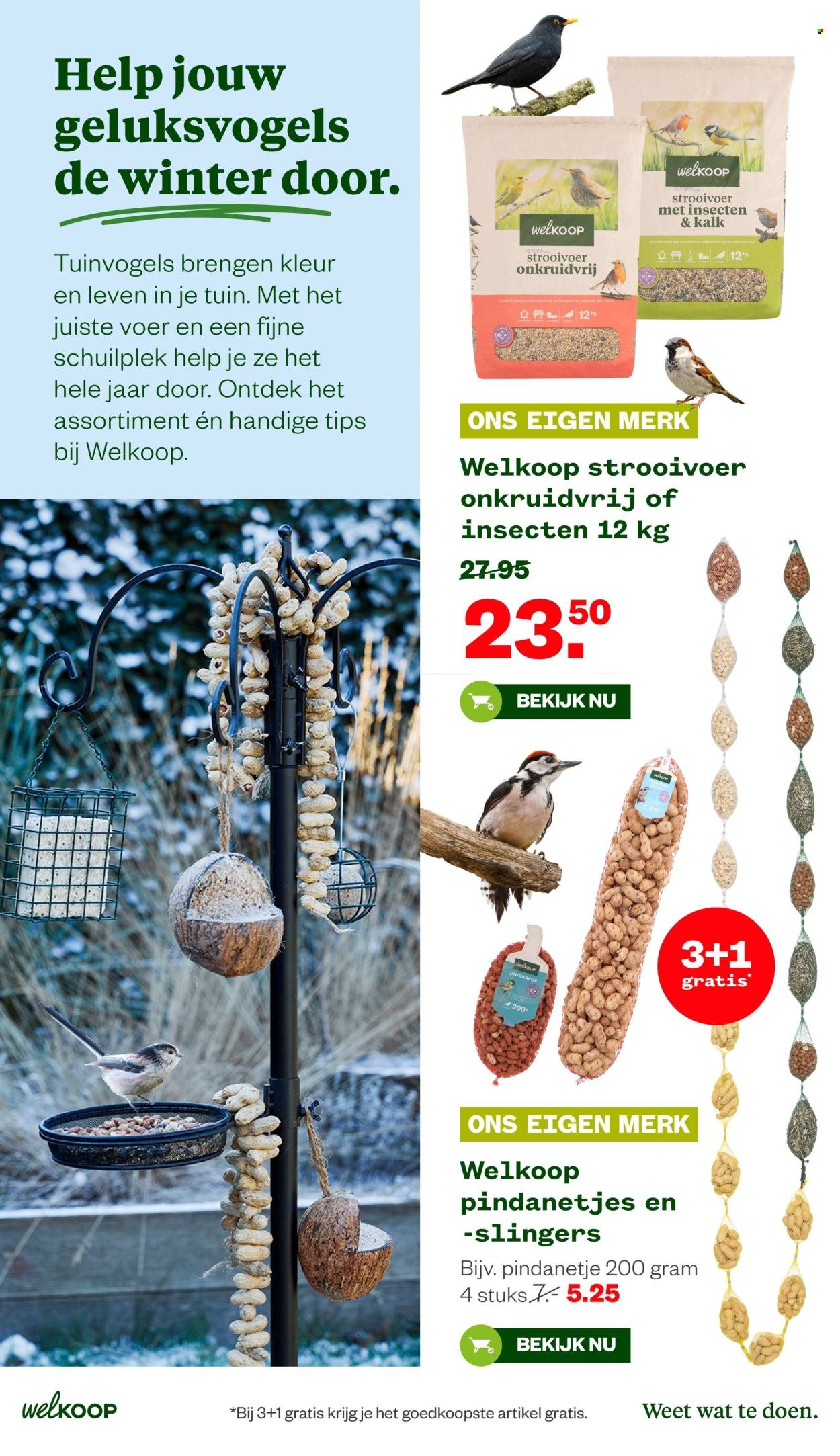 WELKOOP folder - Van maandag 8 december 2025 (2025-12-08 - 2025-12-28)