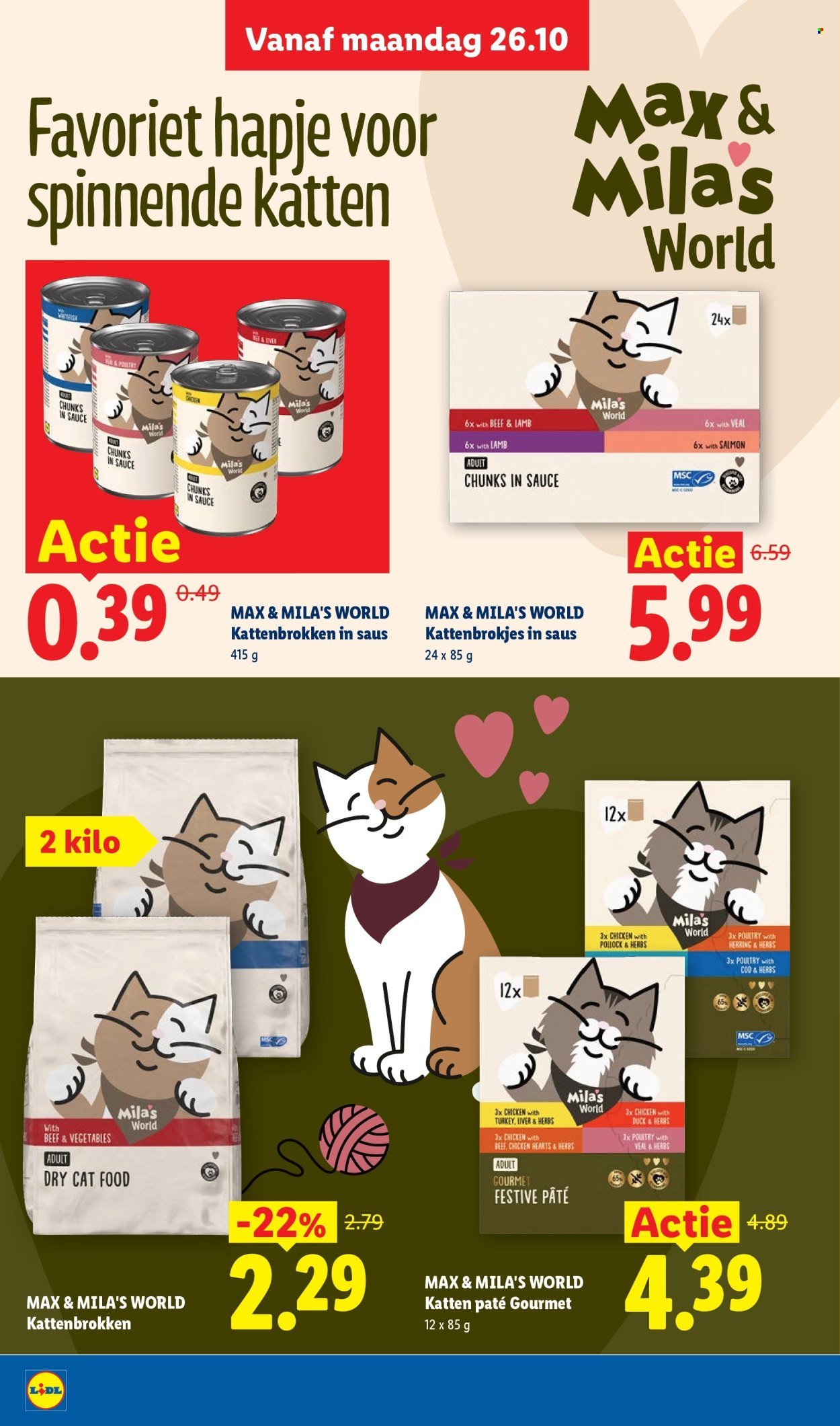 LIDL folder - Week 44