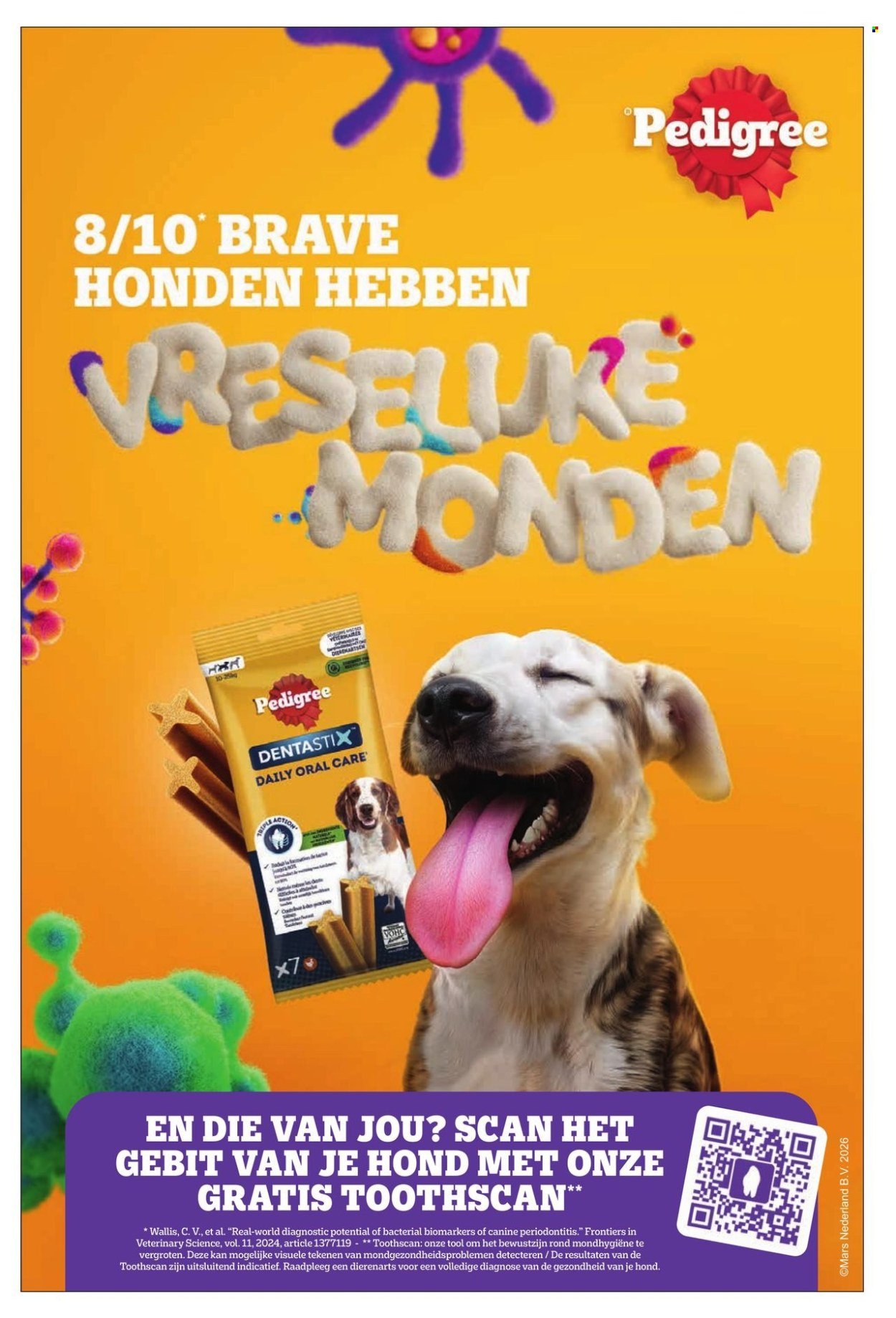 DIRK folder - Lekker Doen winter 2026