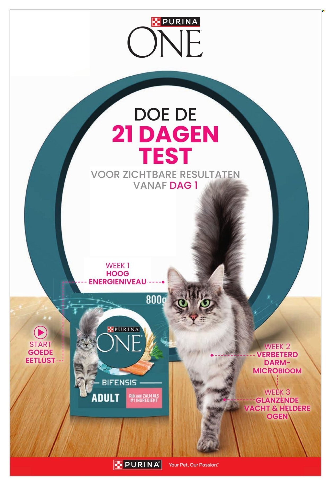 DIRK folder - Lekker Doen winter 2026