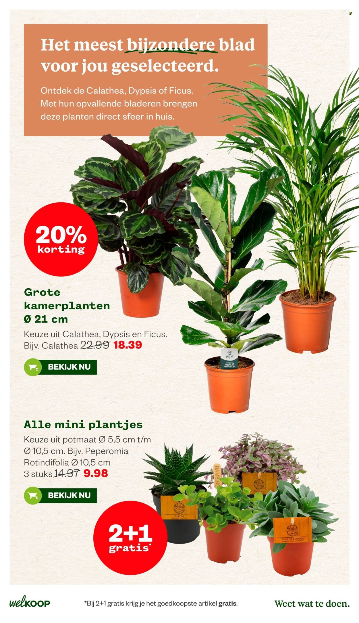WELKOOP folder - Van maandag 11 mei 2026