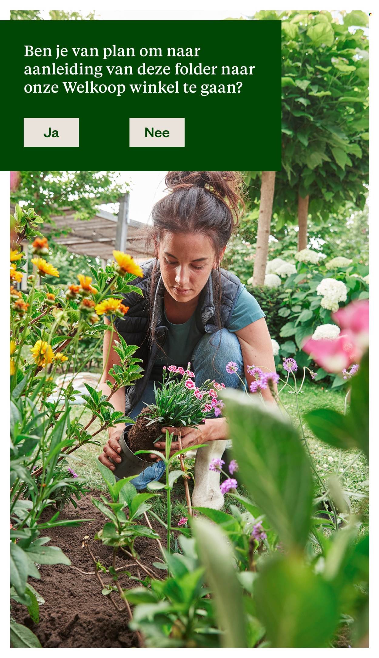 WELKOOP folder - Van maandag 11 mei 2026