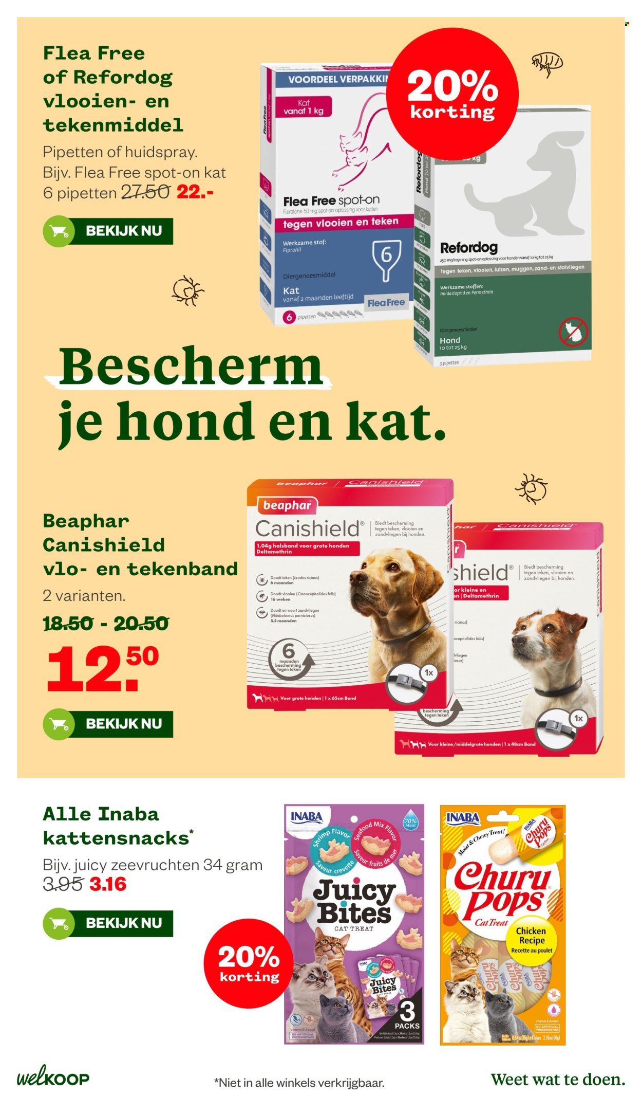 WELKOOP folder - Van maandag 11 mei 2026