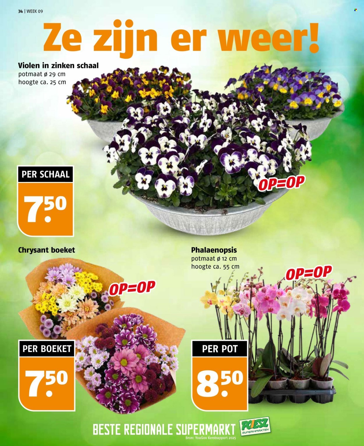 POIESZ folder - Week 9