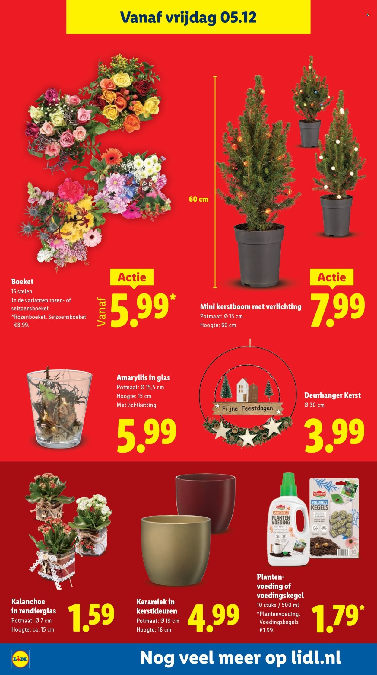 LIDL folder - Week 49