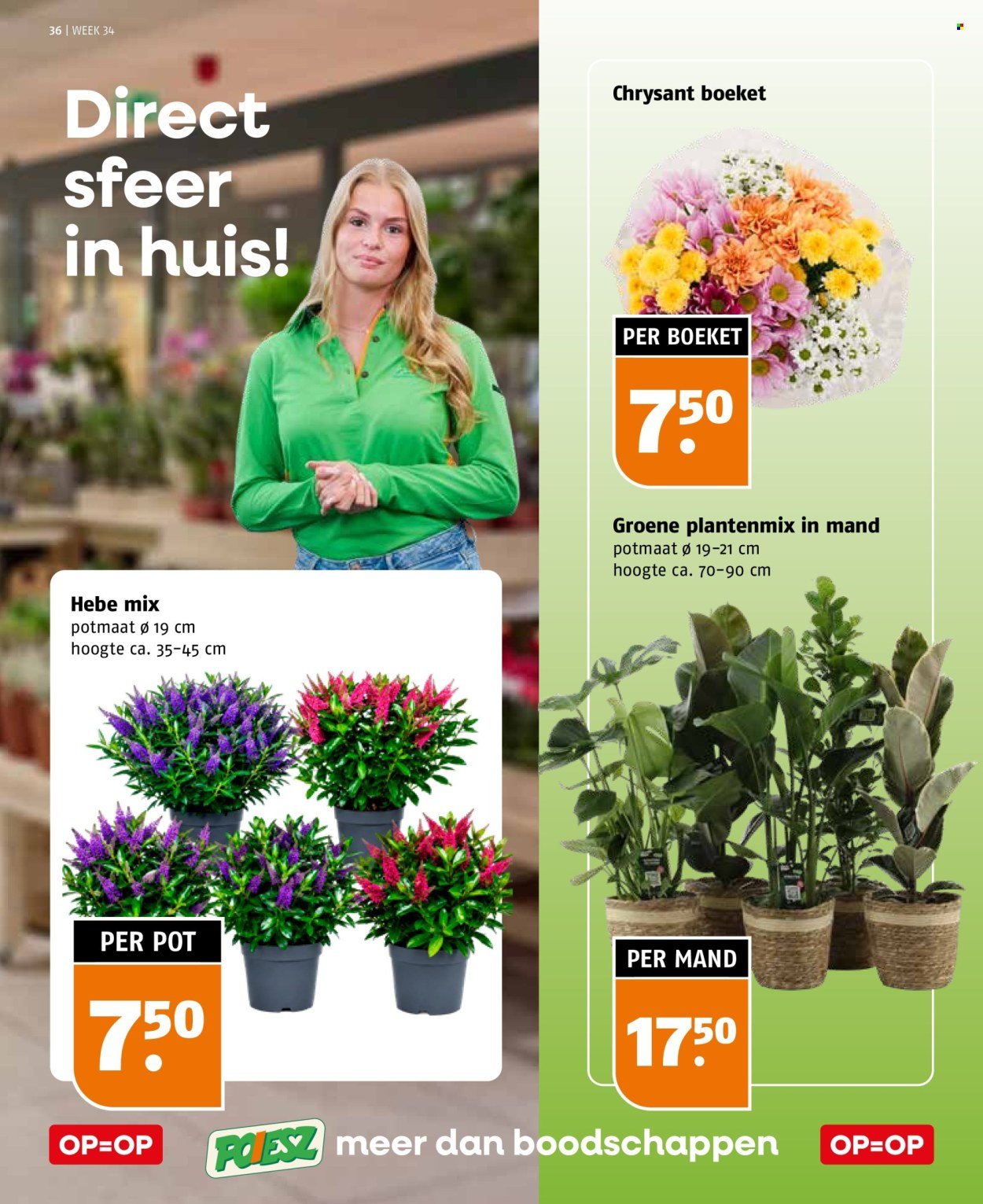 POIESZ folder - Van zondag 16 augustus 2026