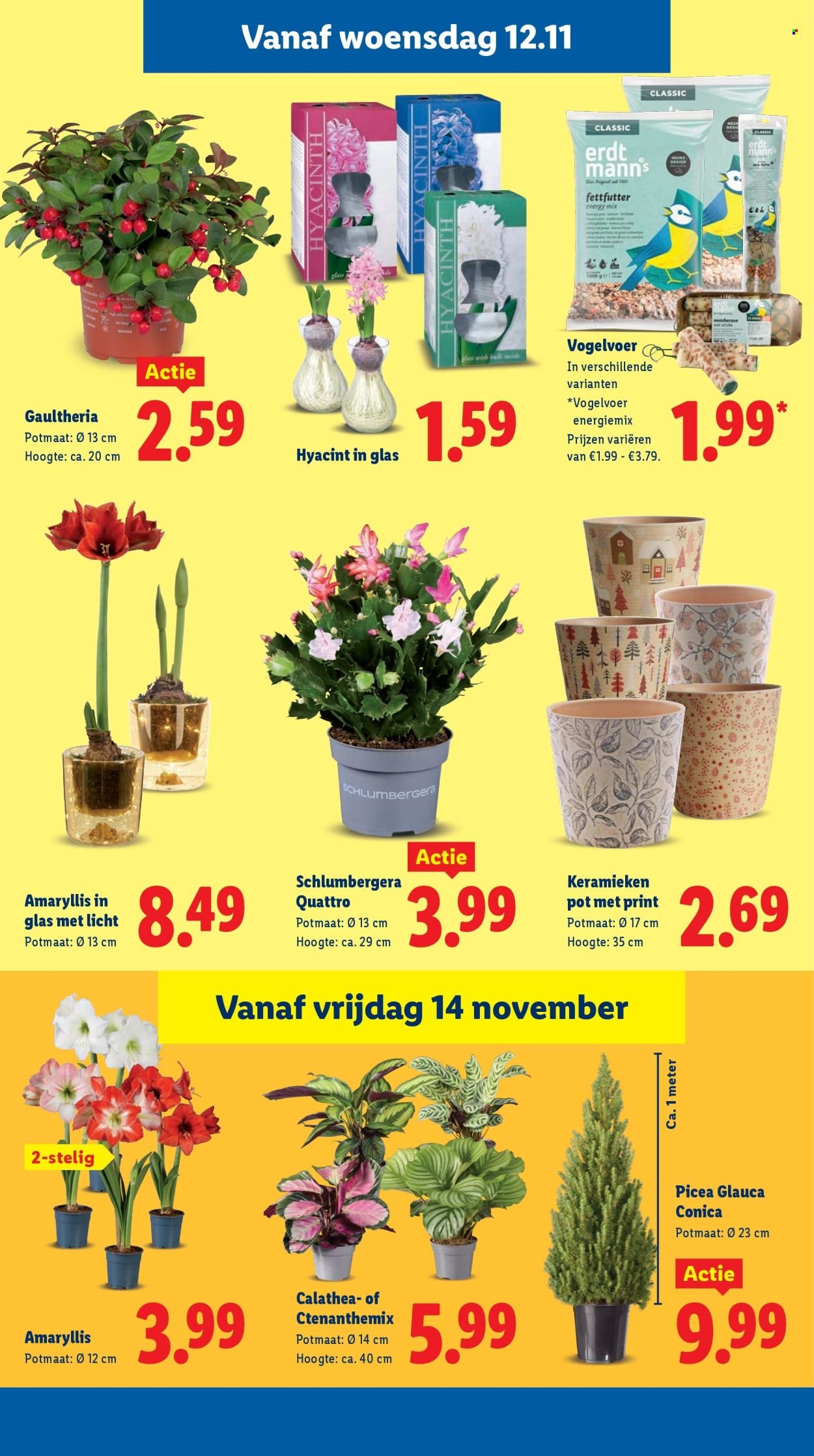 LIDL folder - Week 46 (2025-11-10 - 2025-11-16)