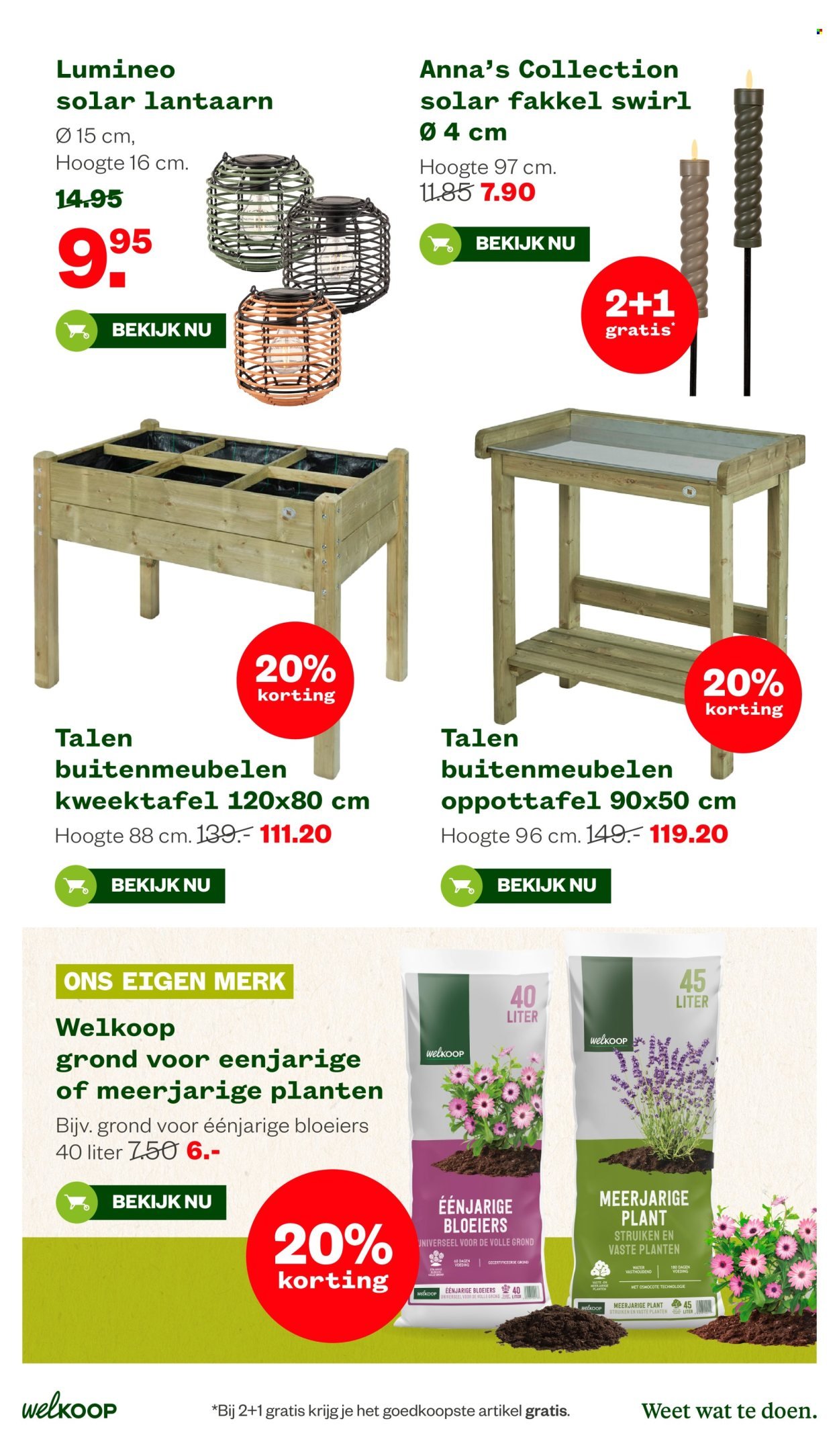 WELKOOP folder - Van maandag 8 juni 2026