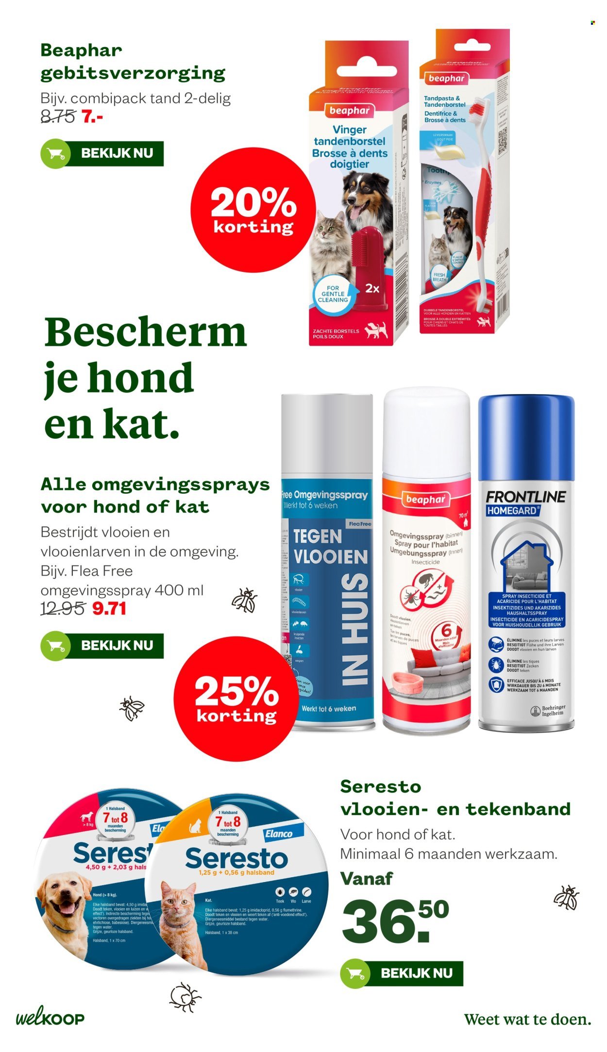 WELKOOP folder - Van maandag 8 juni 2026