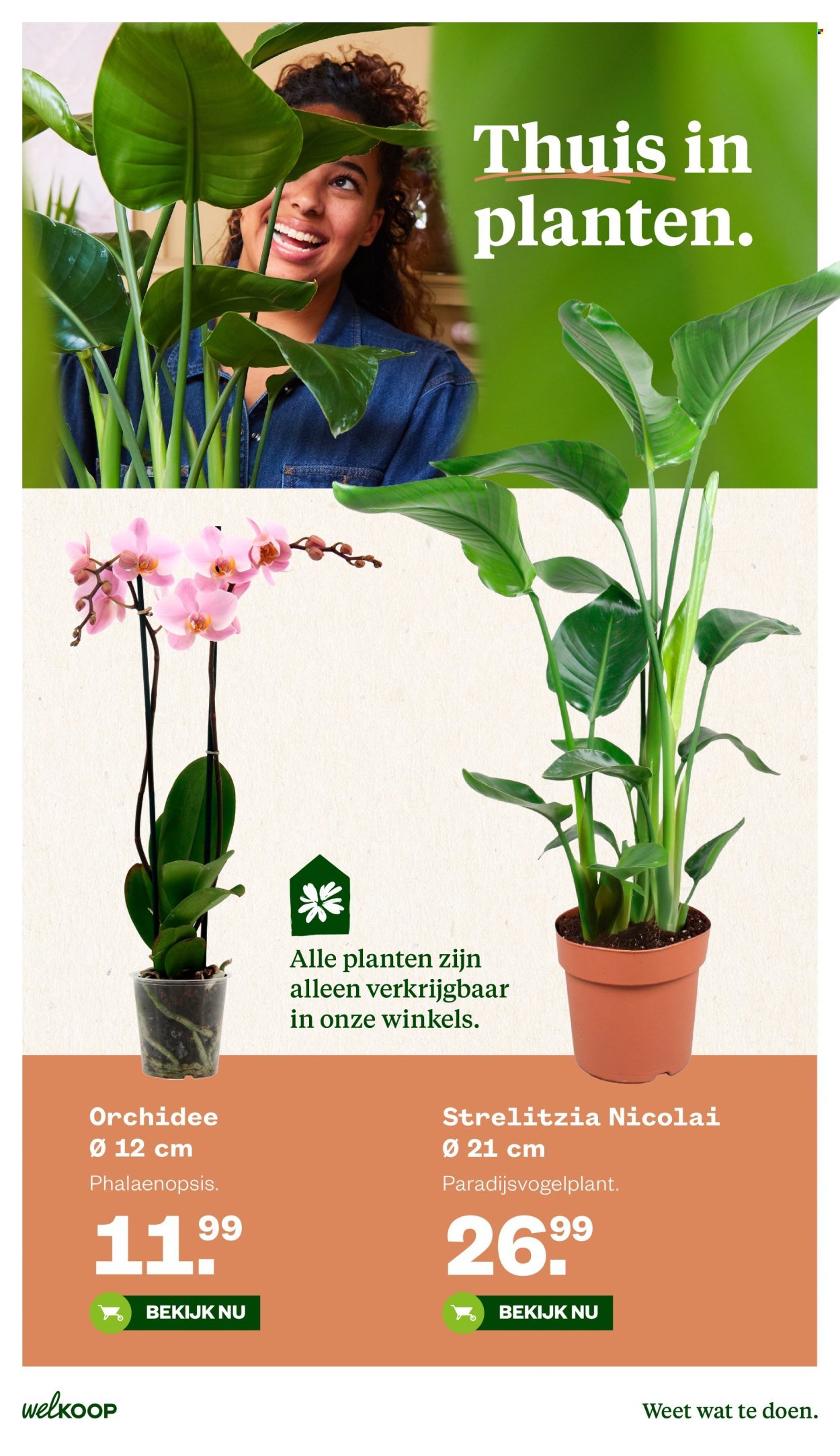 WELKOOP folder - Van maandag 25 mei 2026