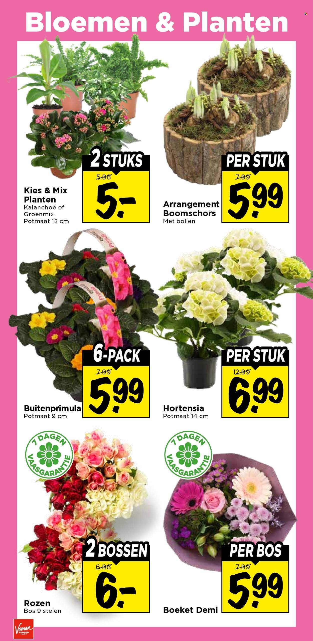 VOMAR folder - Van donderdag 29 januari 2026