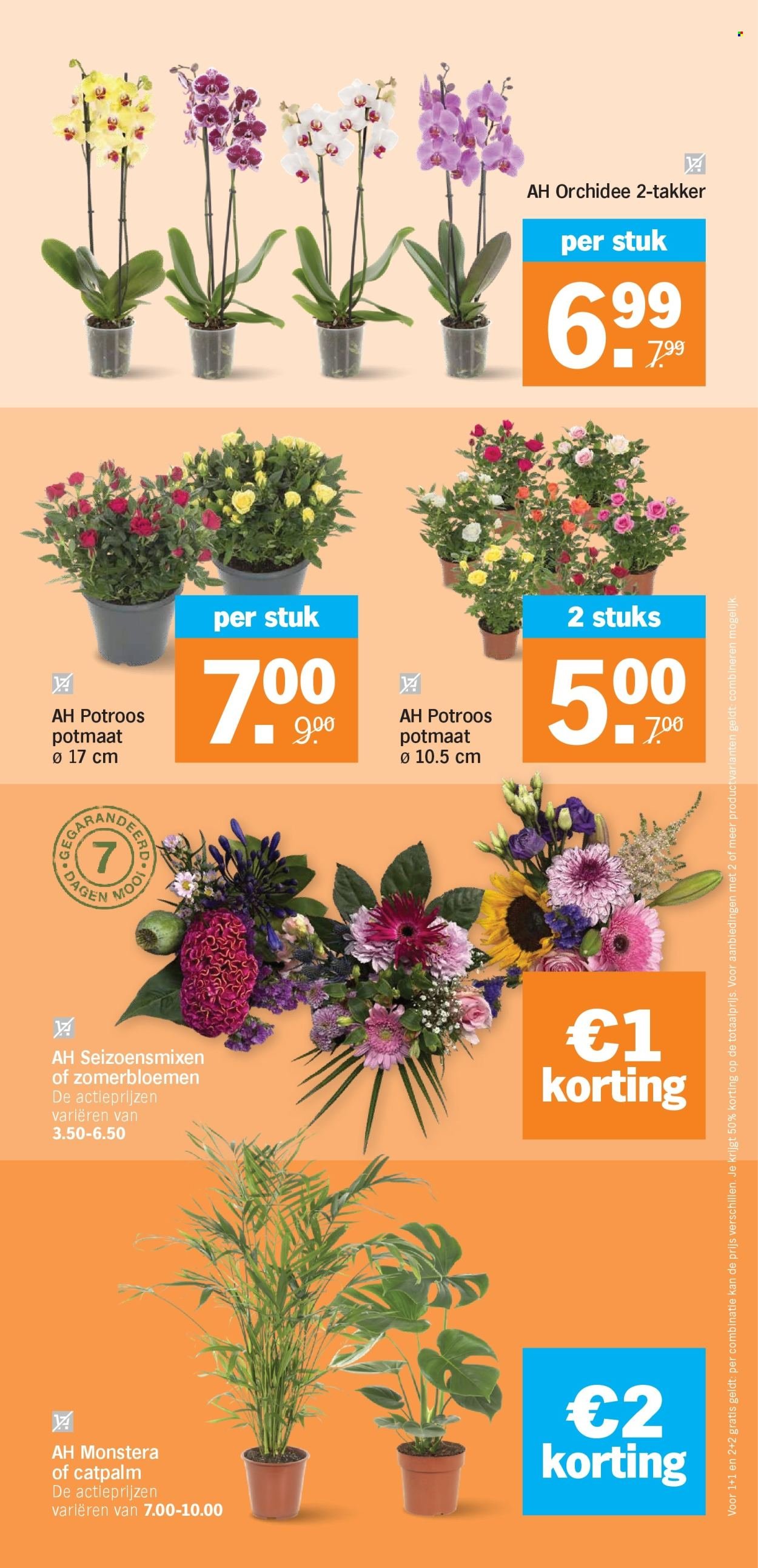 ALBERT HEIJN folder - Van maandag 31 augustus 2026