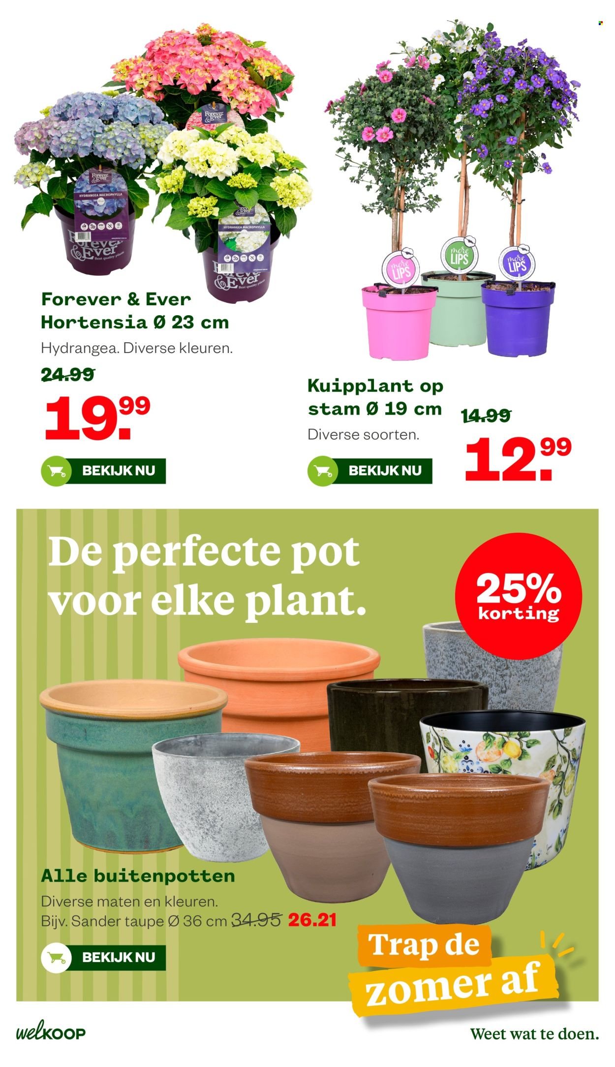 WELKOOP folder - Van maandag 25 mei 2026